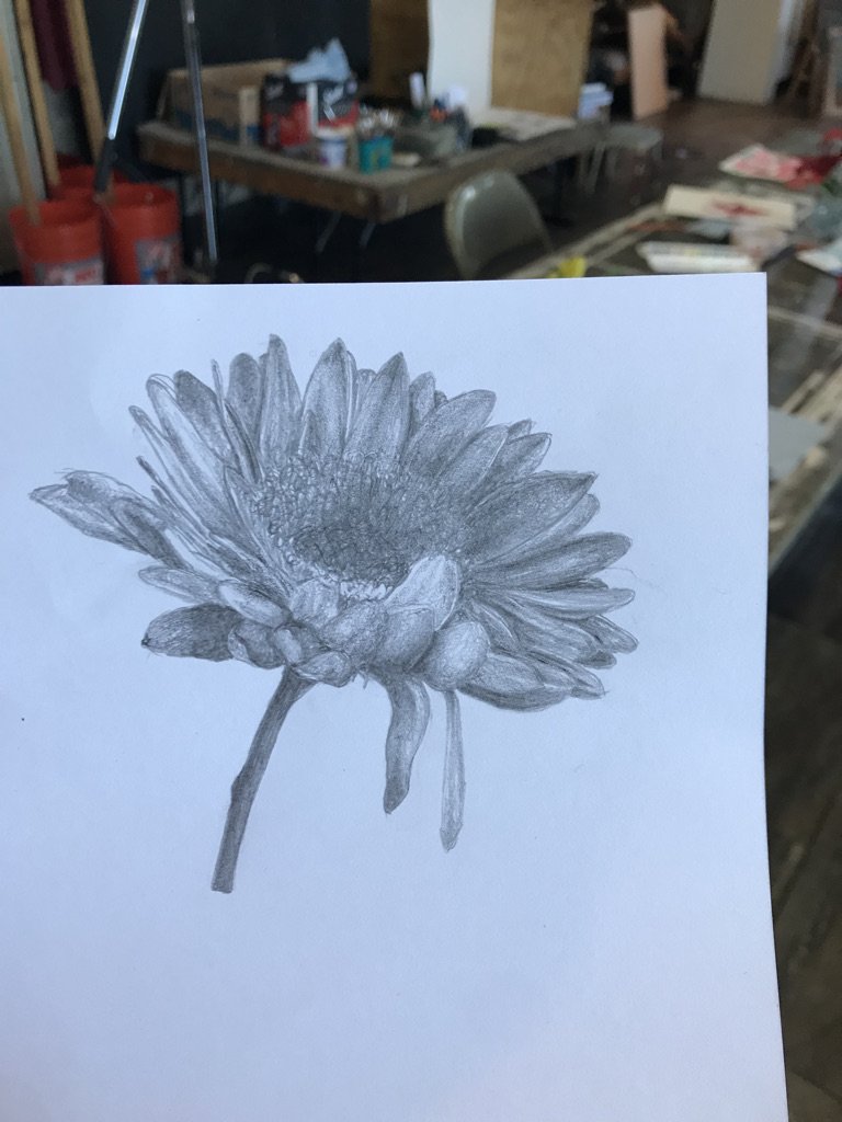 Pencil Drawing of Flower