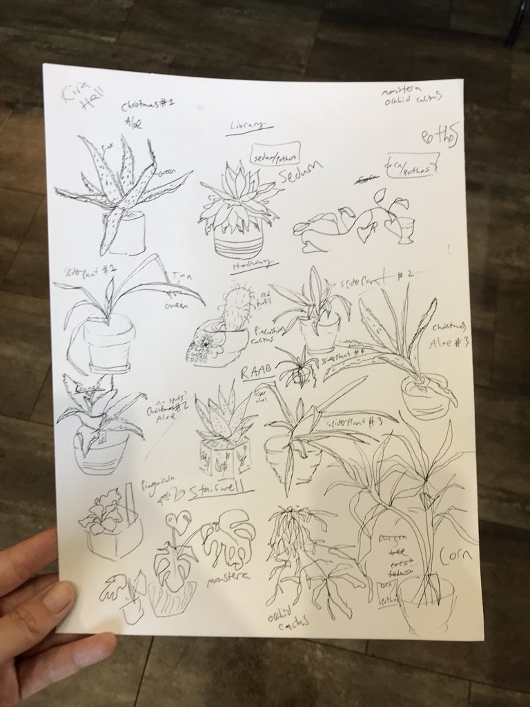 Sketches of Plants