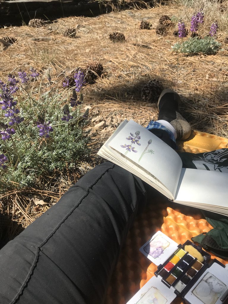 Trail Journal