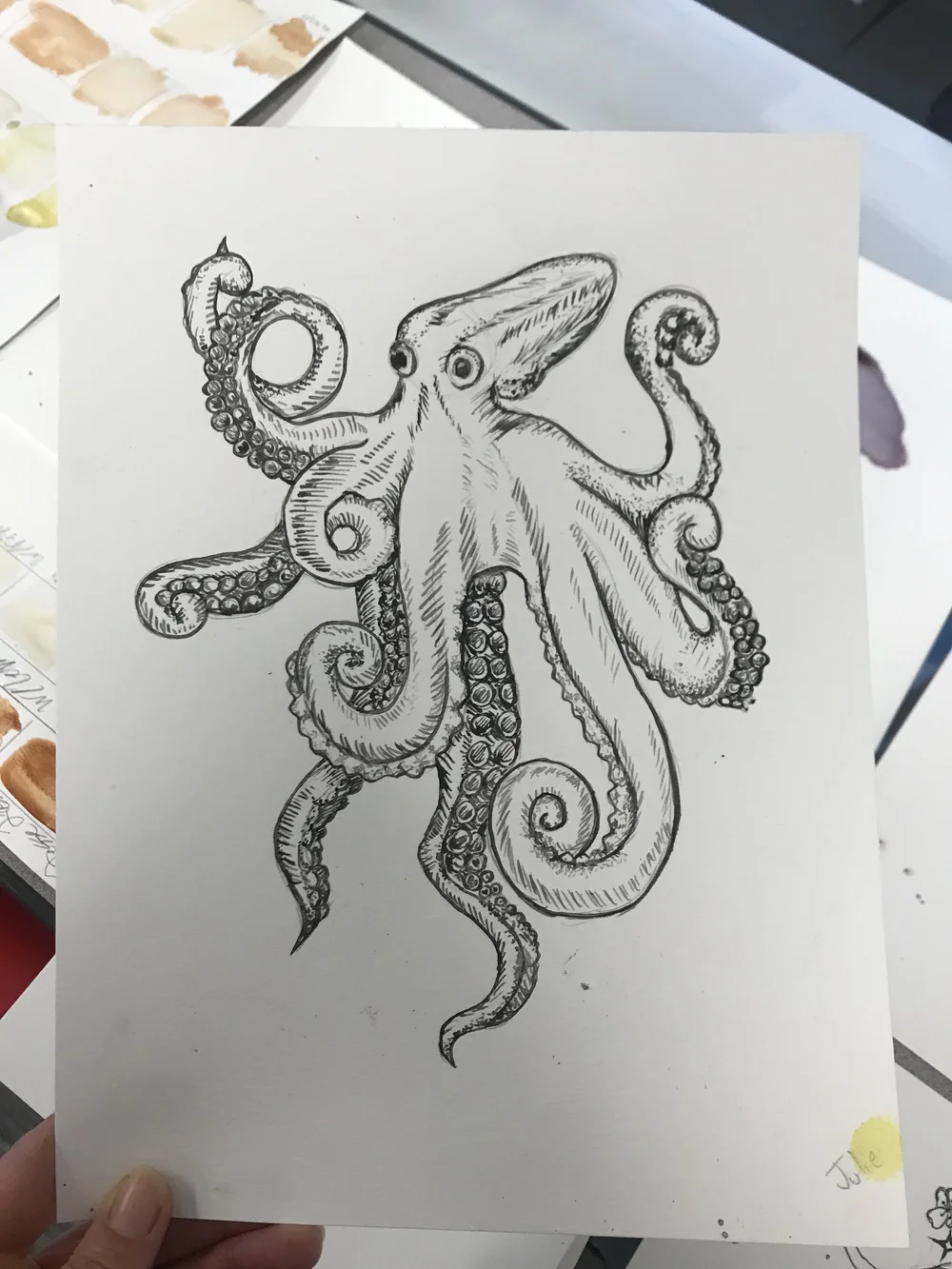 Octopus