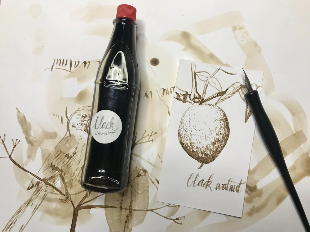 Black Walnut Ink