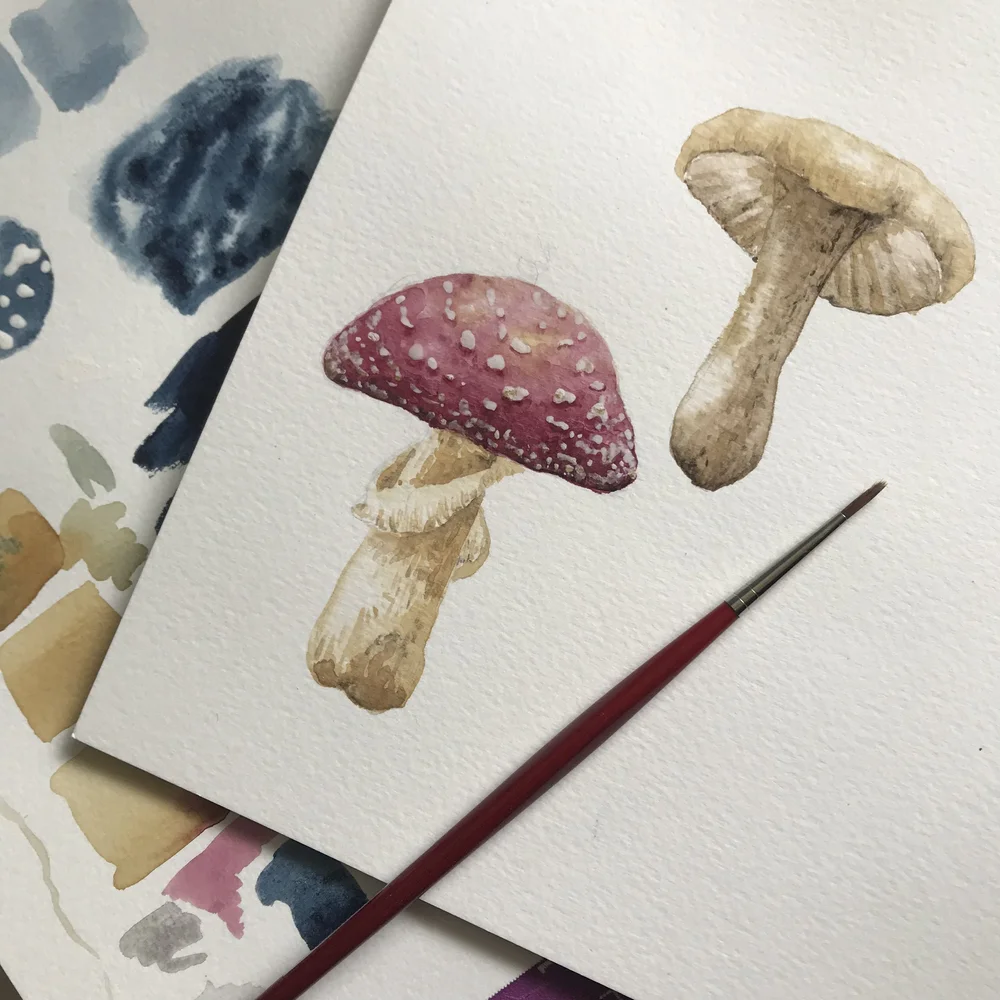 Mushroom Paintings