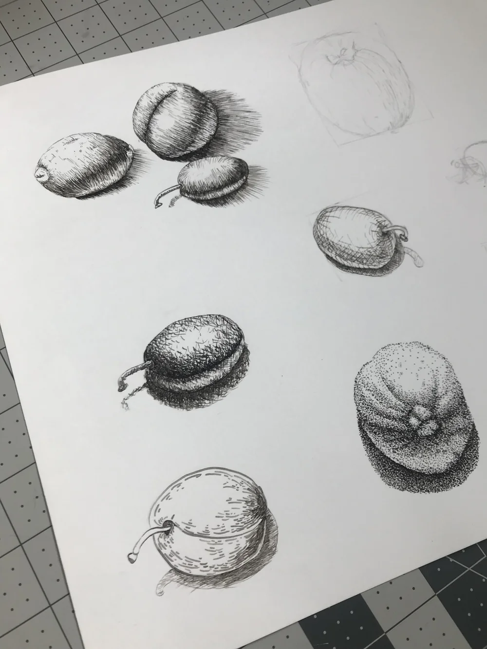 Fruit Drawings