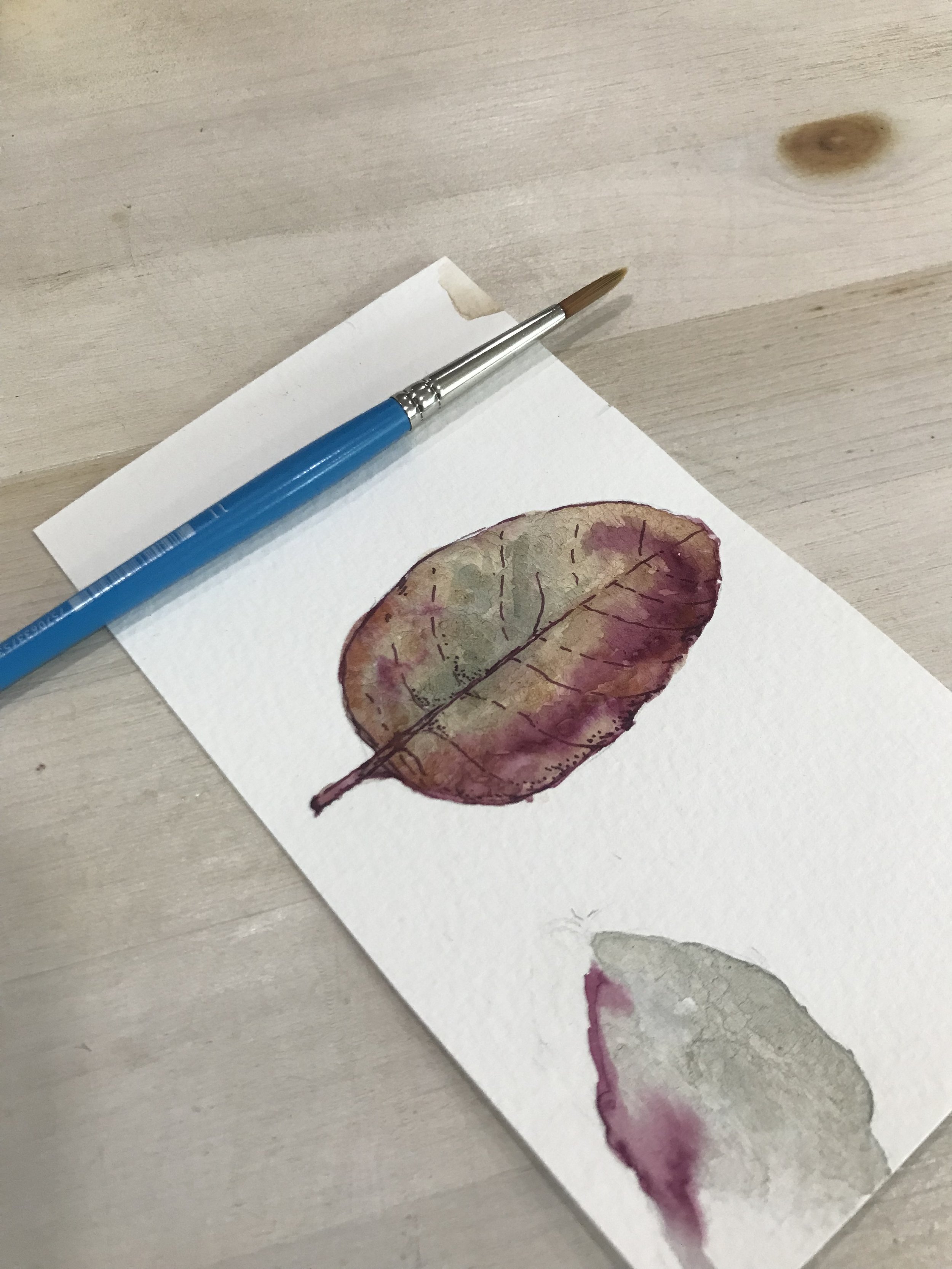 Fall leaf illustration