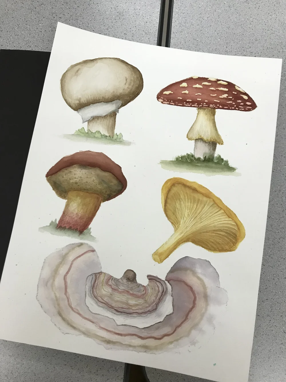 Robin-Bundi_student-work_Mushroom01.jpeg