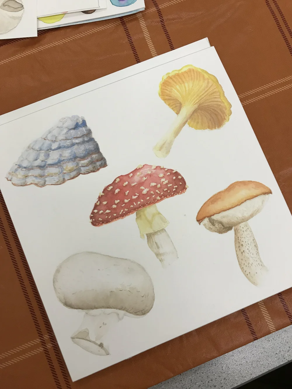 Robin-Bundi_student-work_Mushroom03.jpeg