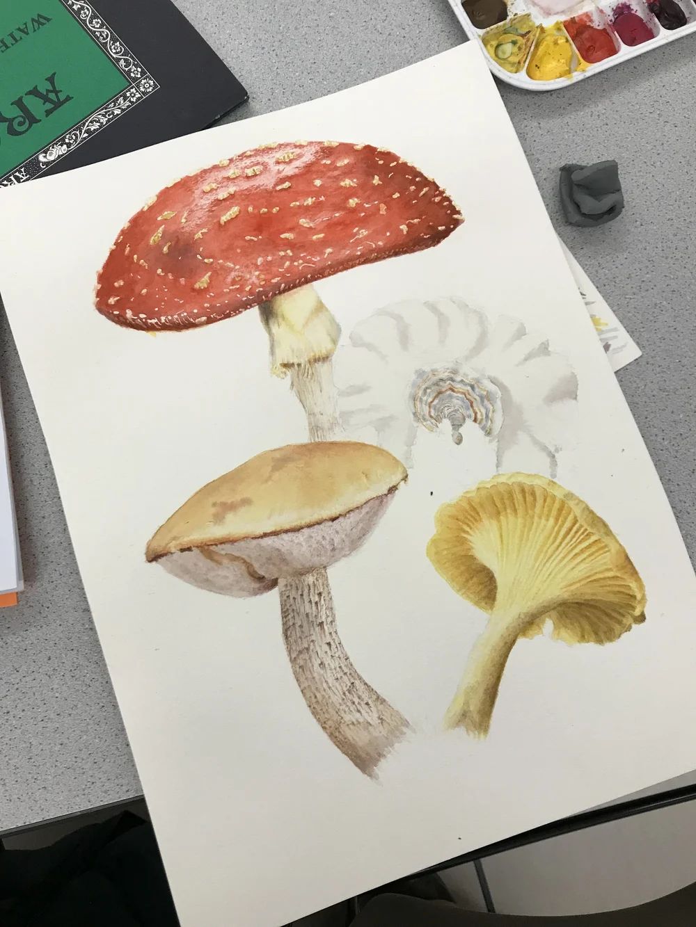 Robin-Bundi_student-work_Mushroom04.jpeg