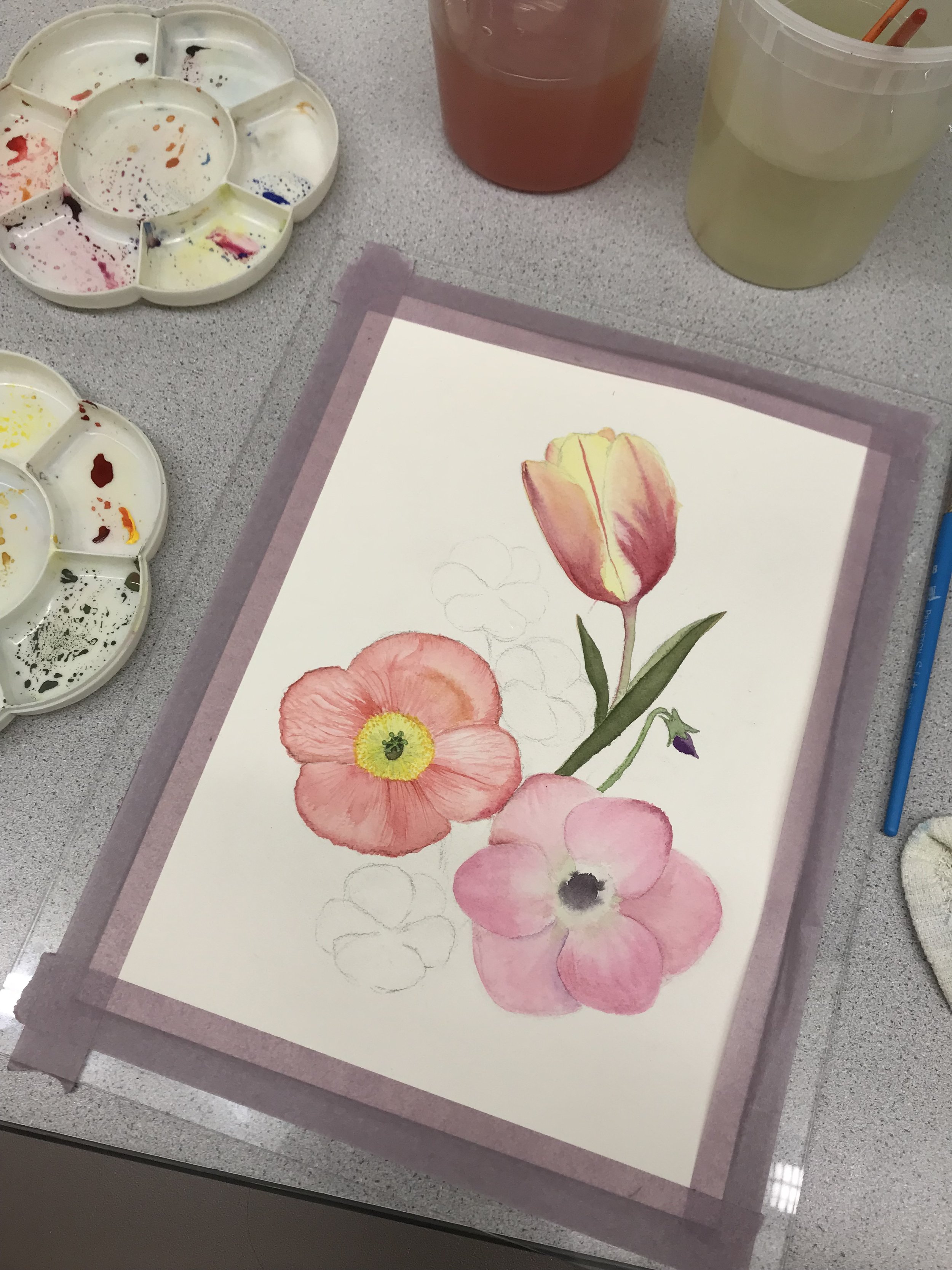 Robin-Bundi_student-work_Botanical01.jpeg