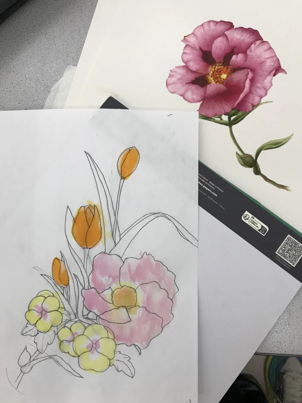 Robin-Bundi_student-work_Botanical06.jpeg