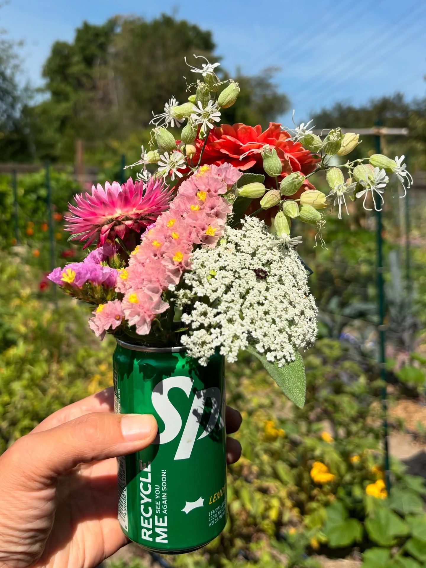Prepping for being an artist vendor at tomorrow&rsquo;s Art in the Garden at the @ballardppatch. I love my garden so much that I wanted to share bits of it with my customers. I made up little bouquets of flowers that I am going to give away to my fir