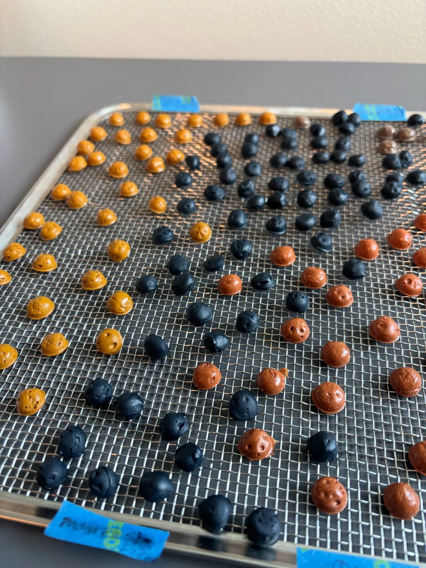 Small snippets from the studio of making watercolor paint. I love the slow process of turning plants, earth, and insects into watercolor paint palettes. I&rsquo;ll have watercolor palettes at my upcoming shows: @nscartdept @phinneyneighborhoodassocia