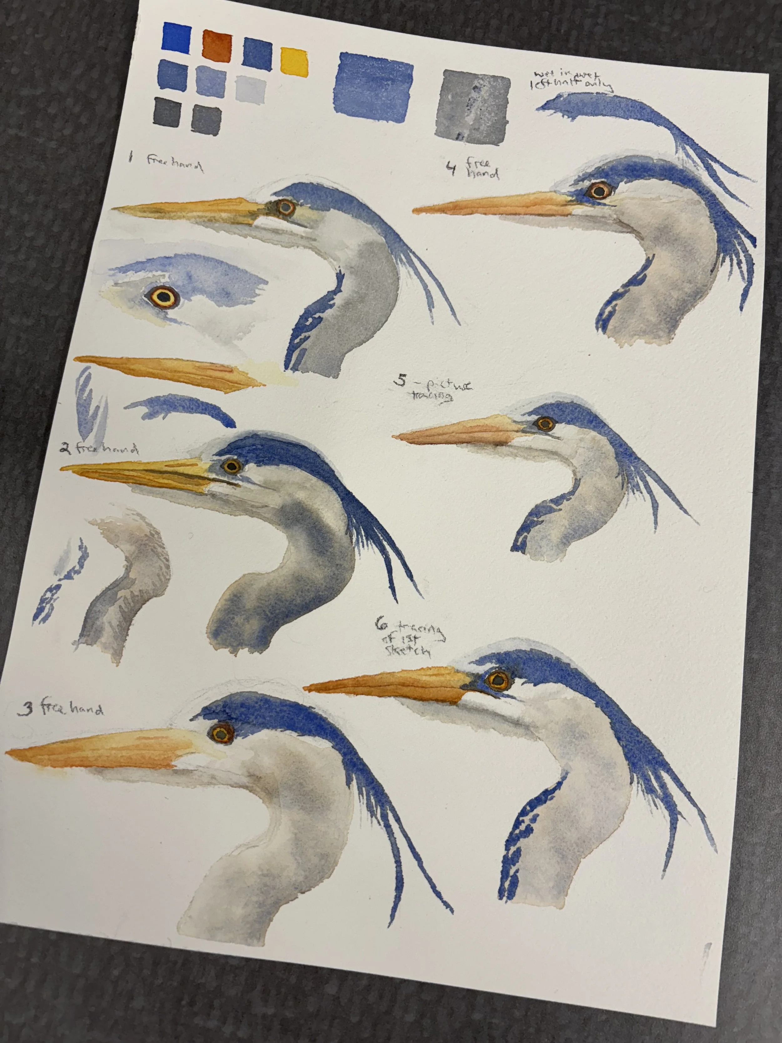 Herons
