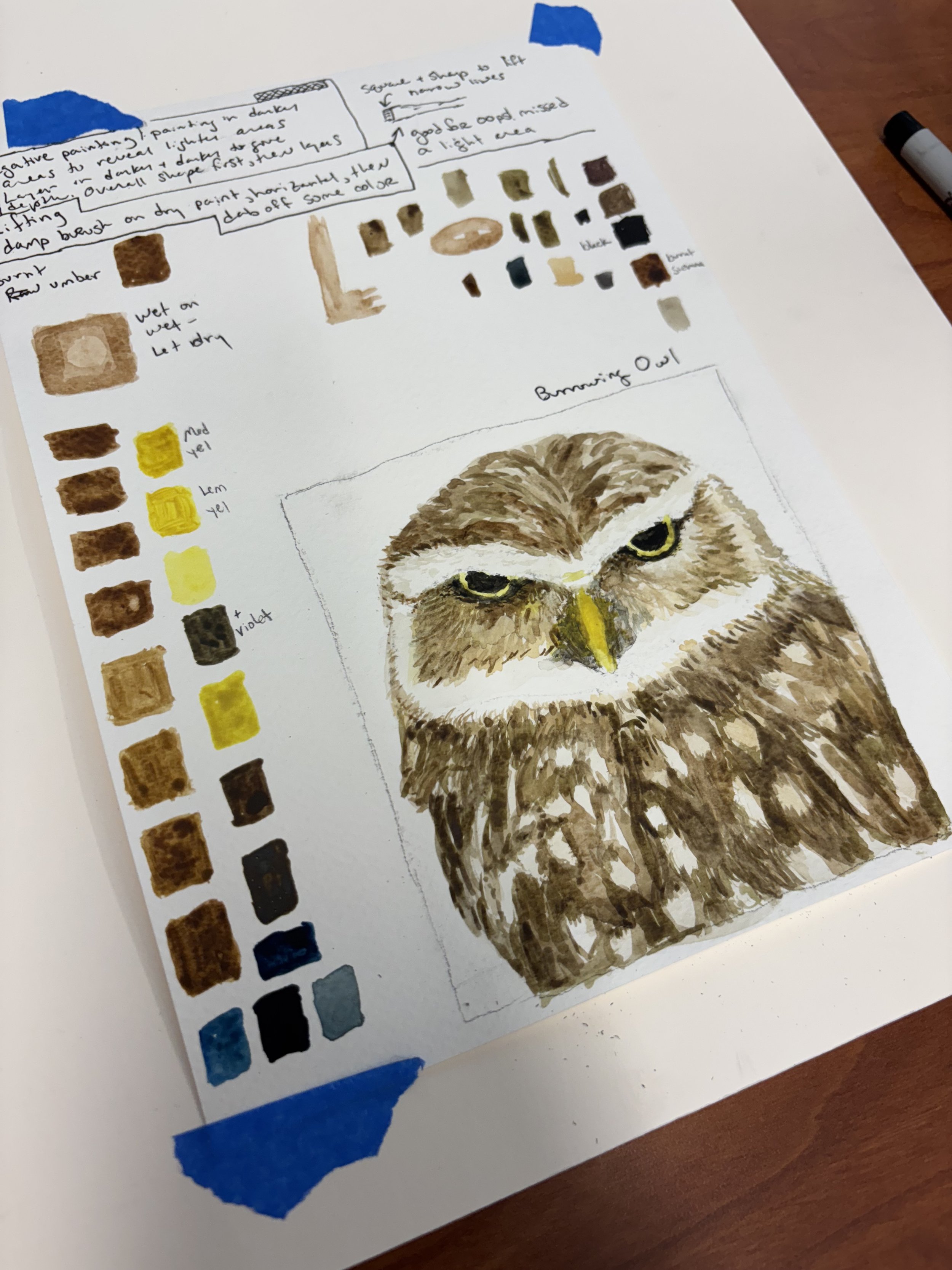 Owl Painting. 