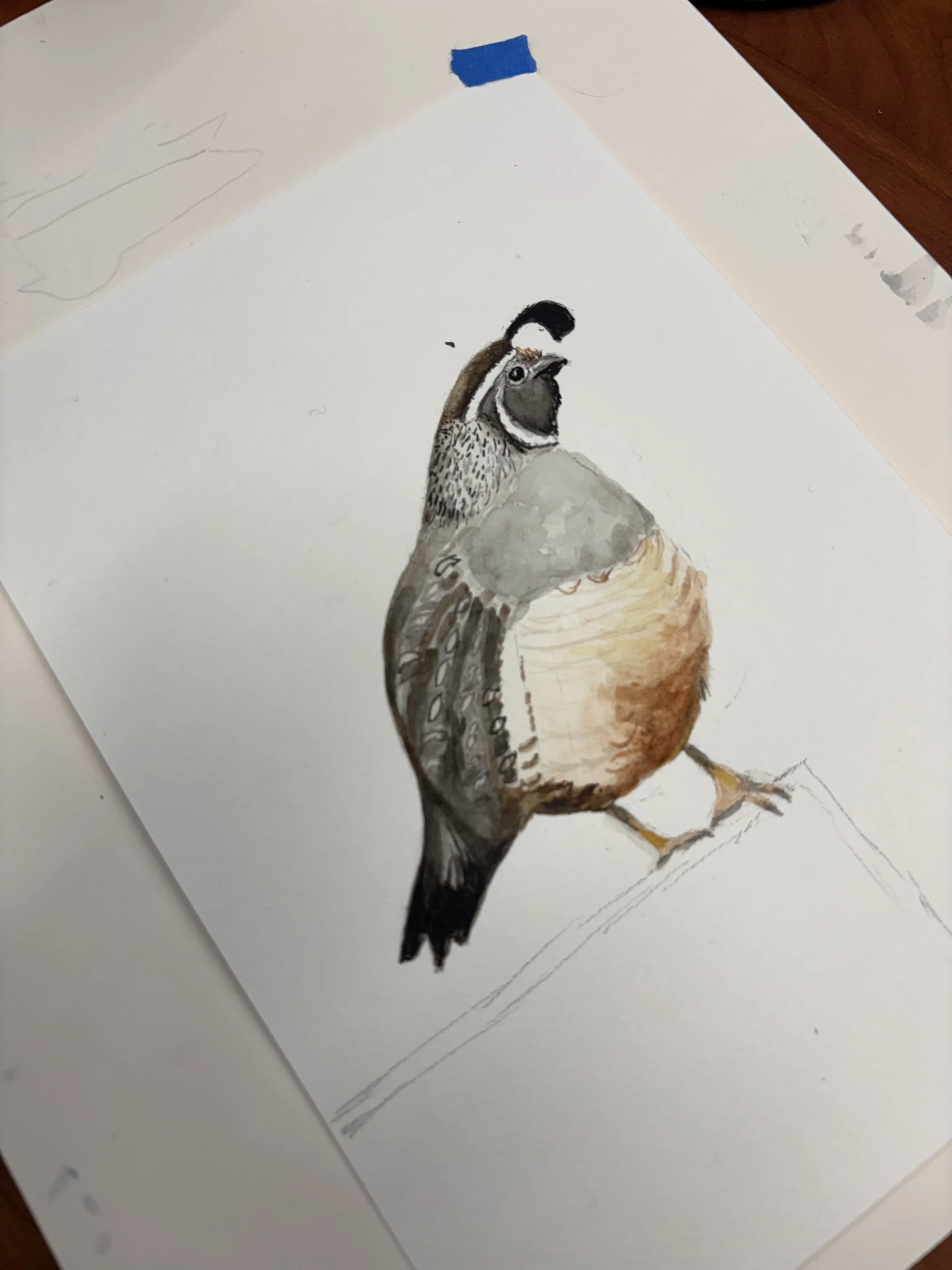 Bird Painting