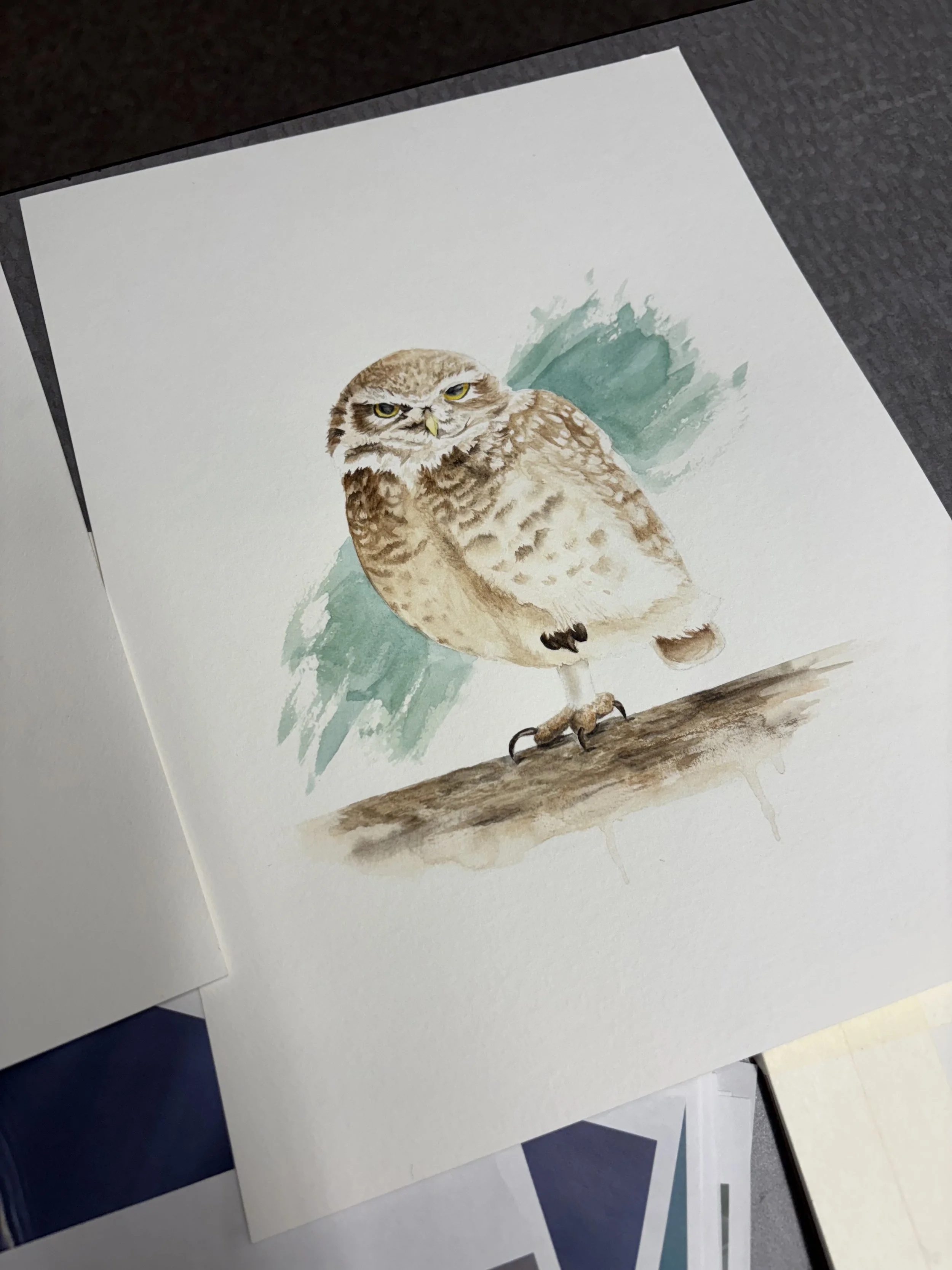 Owl