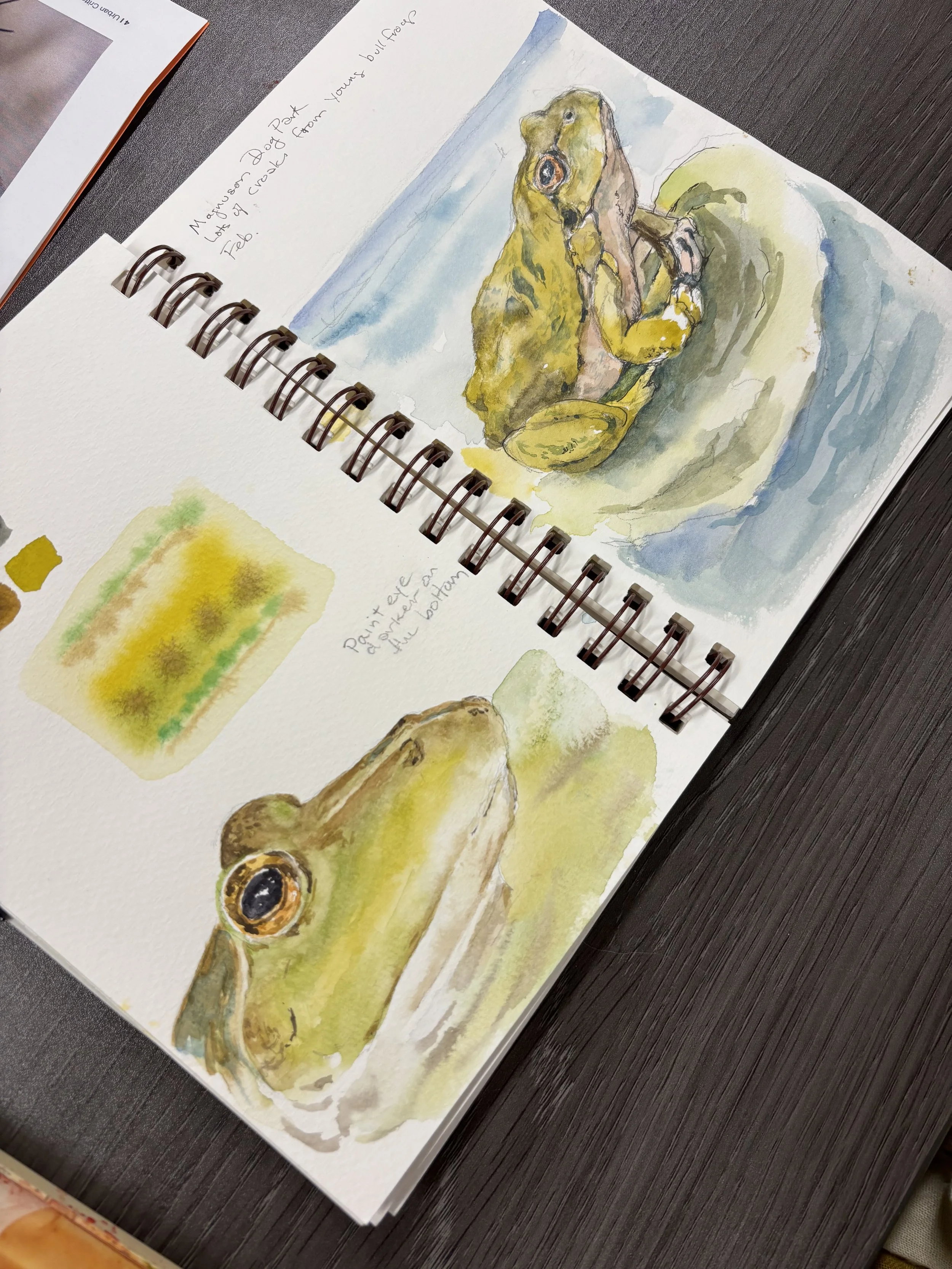 Frog Watercolor