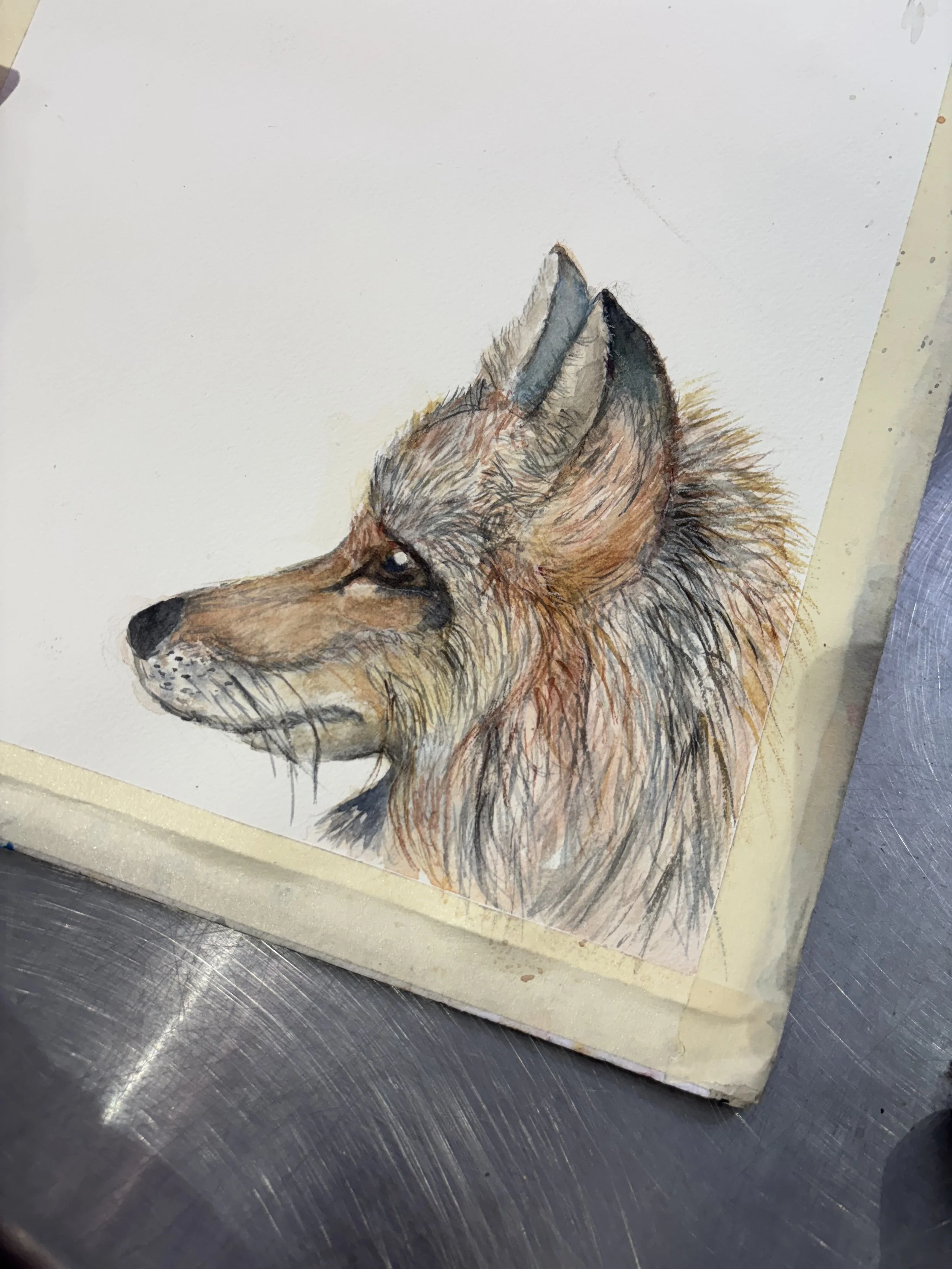 Fox Watercolor