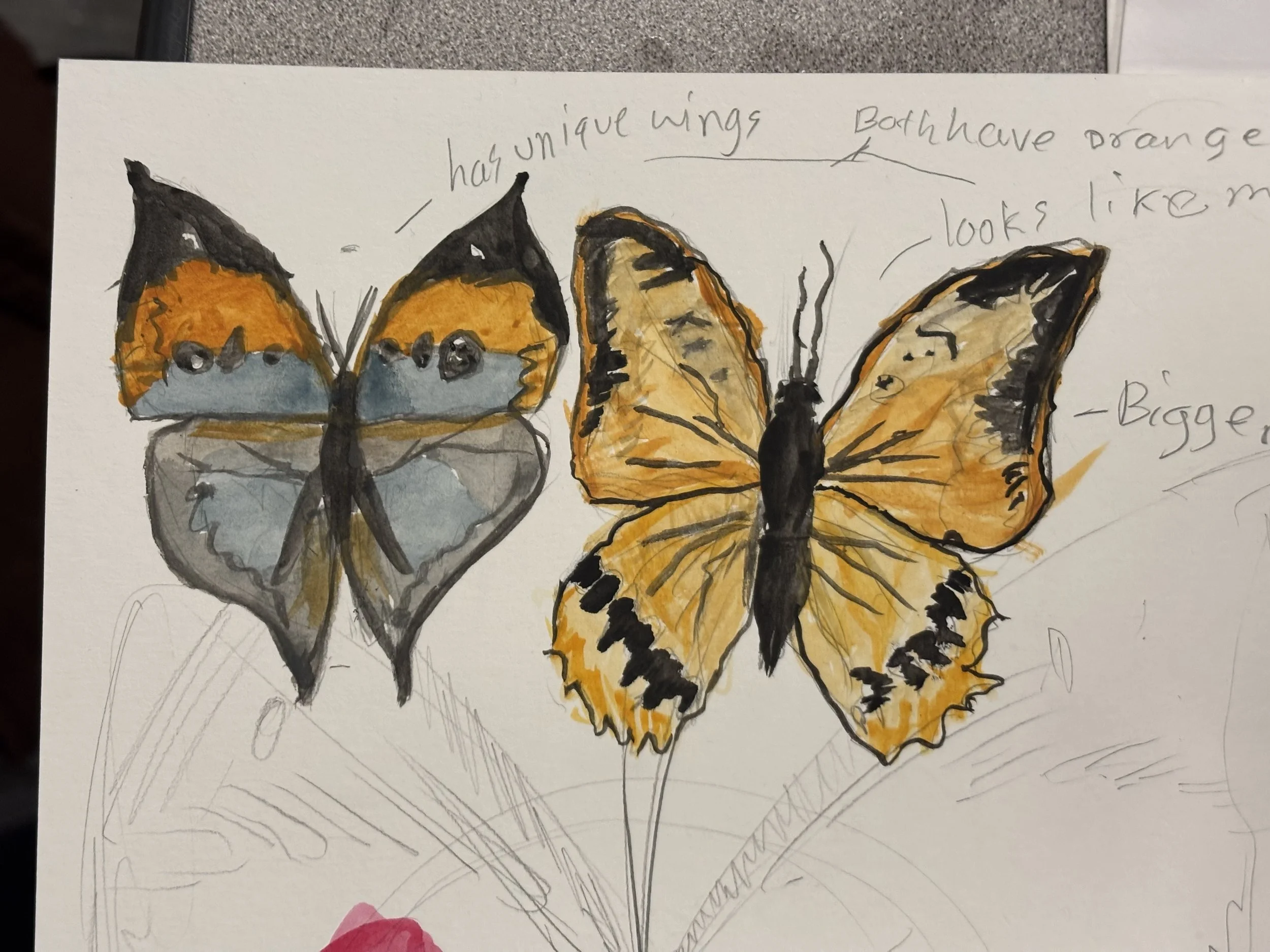 Butterfly Painting