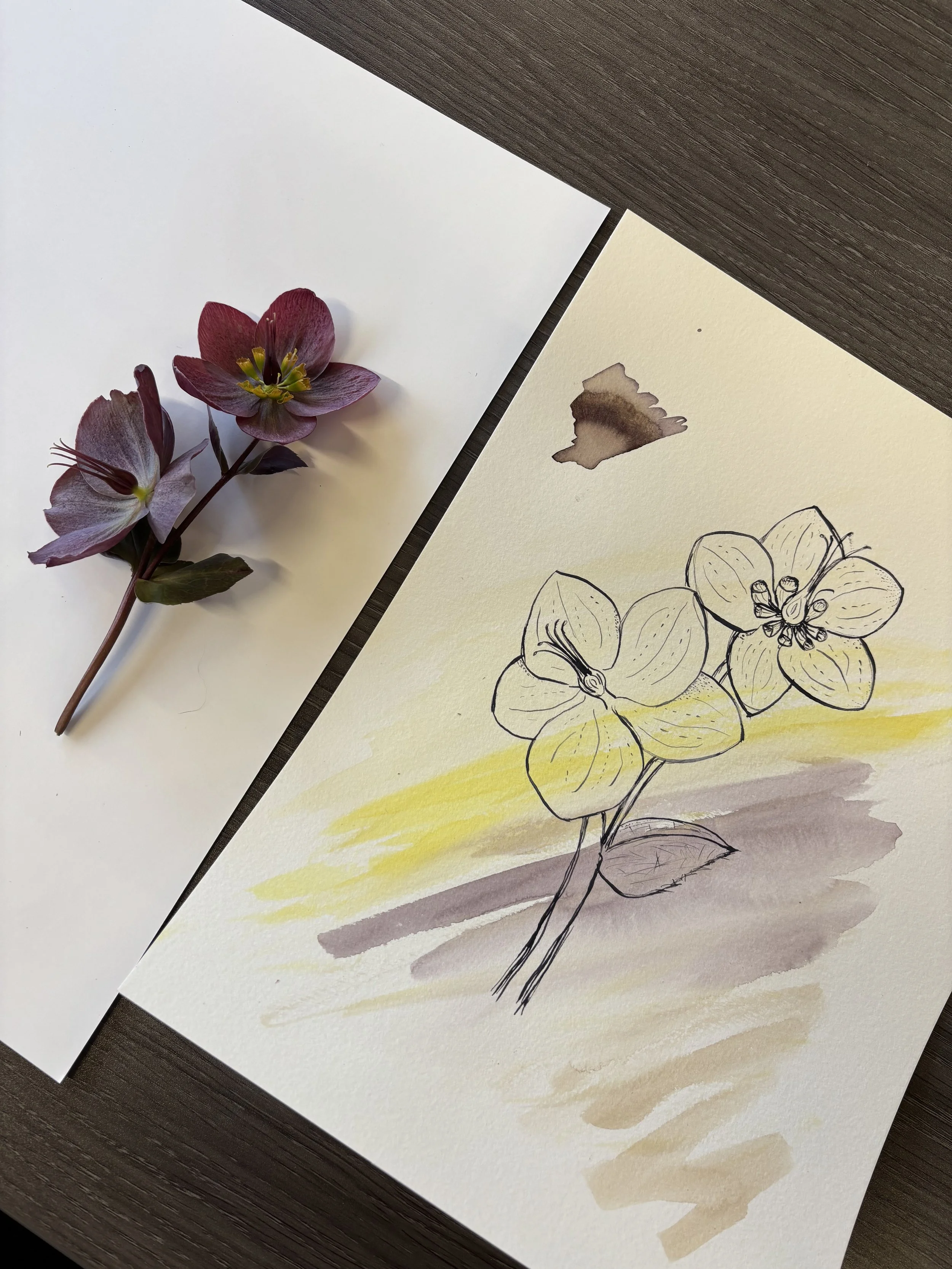Flower Drawing