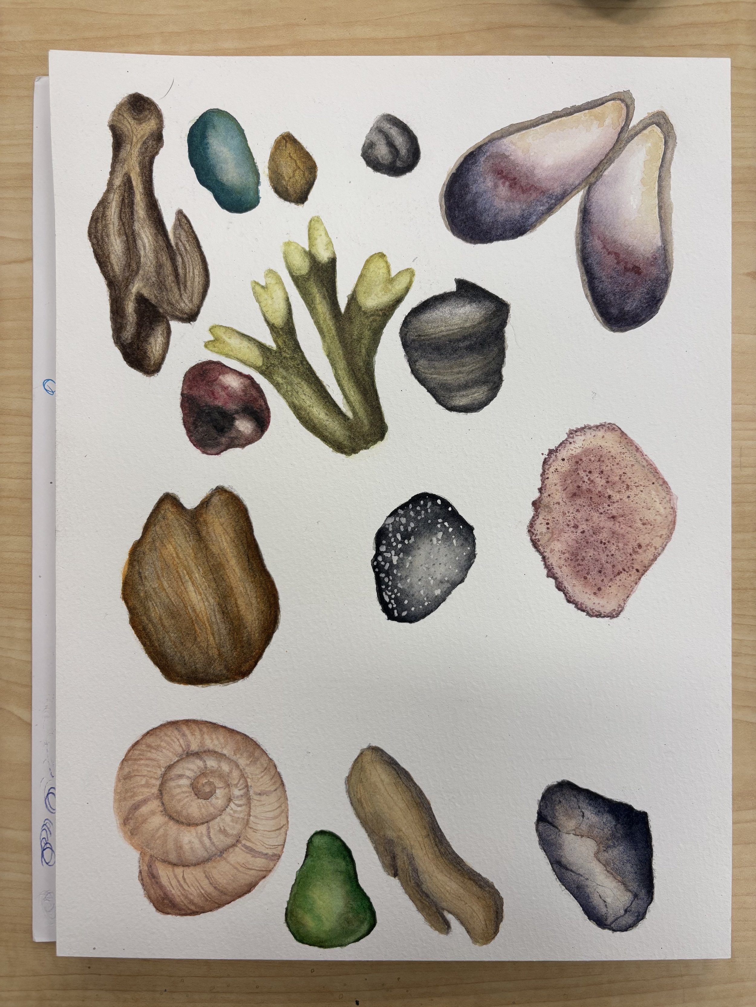 Beach Combing Watercolor