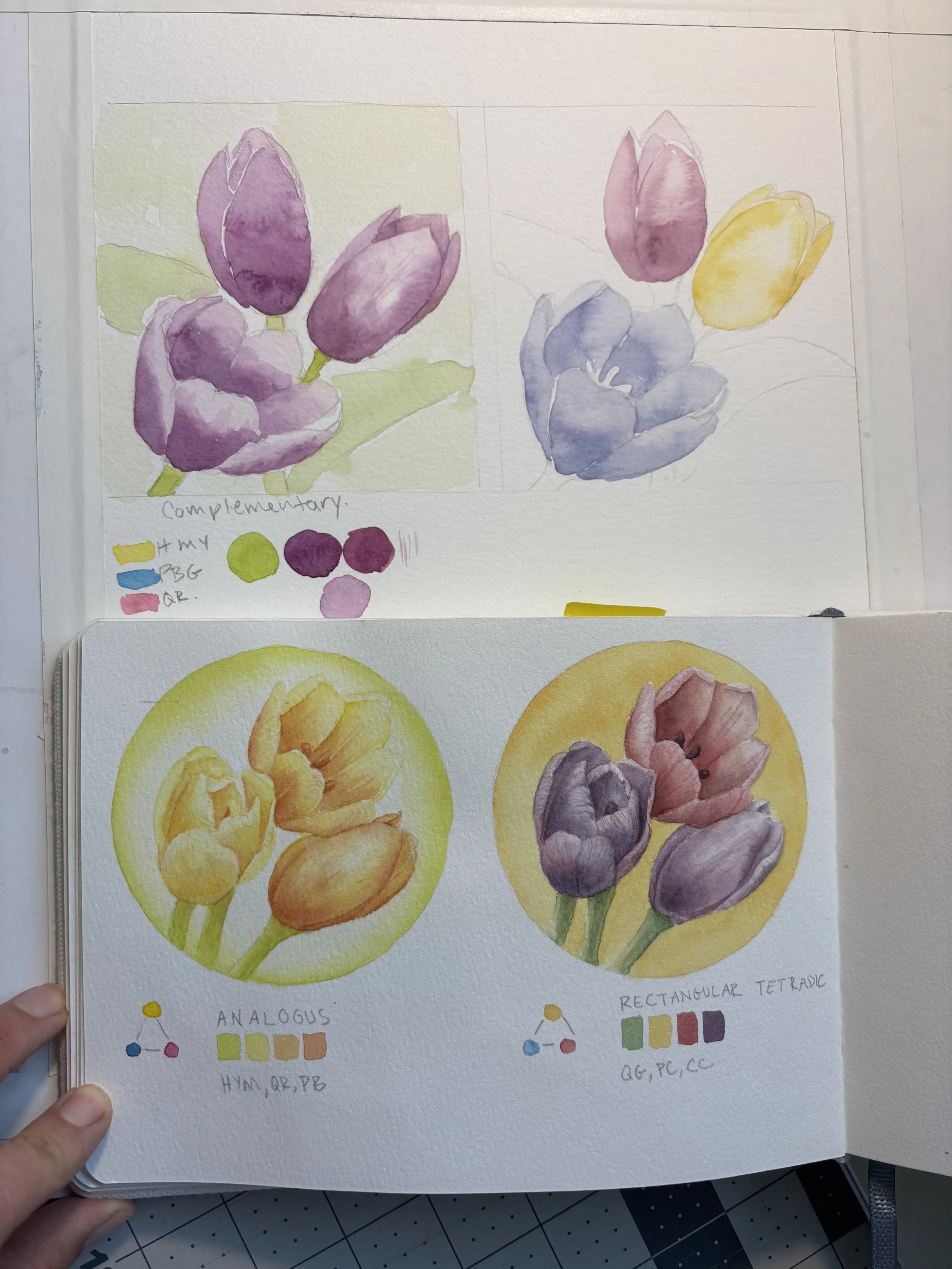 Tulip Study