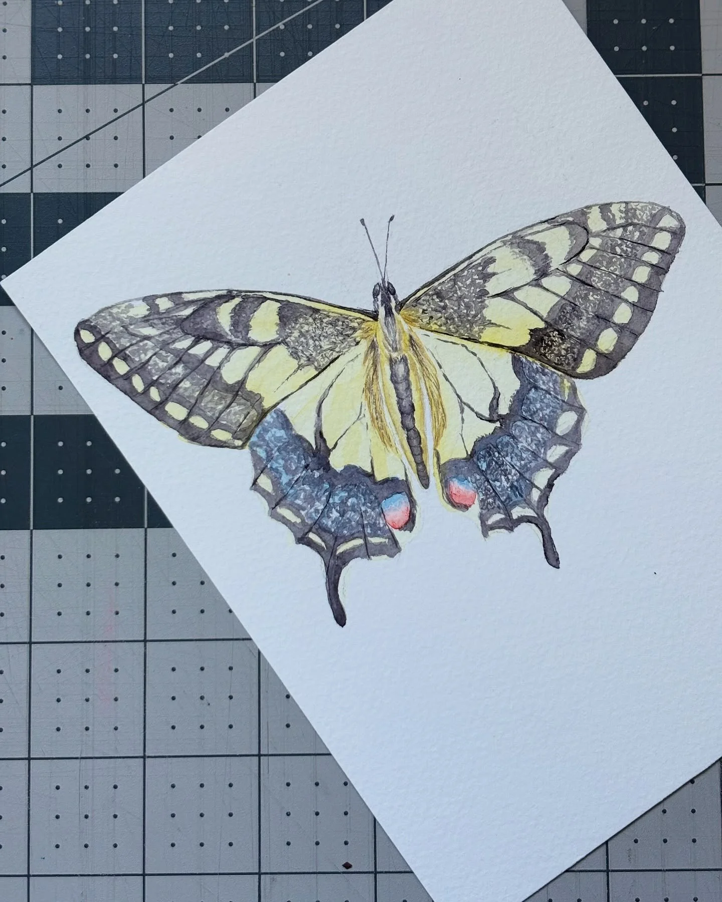 Snippets from a great few days that I recently got to spend in Port Angeles, WA as a teaching artist. Thanks @portangelesfinearts and @peninsulacollegecommunityed for having me! It was lovely to work with so many different students and explore the na