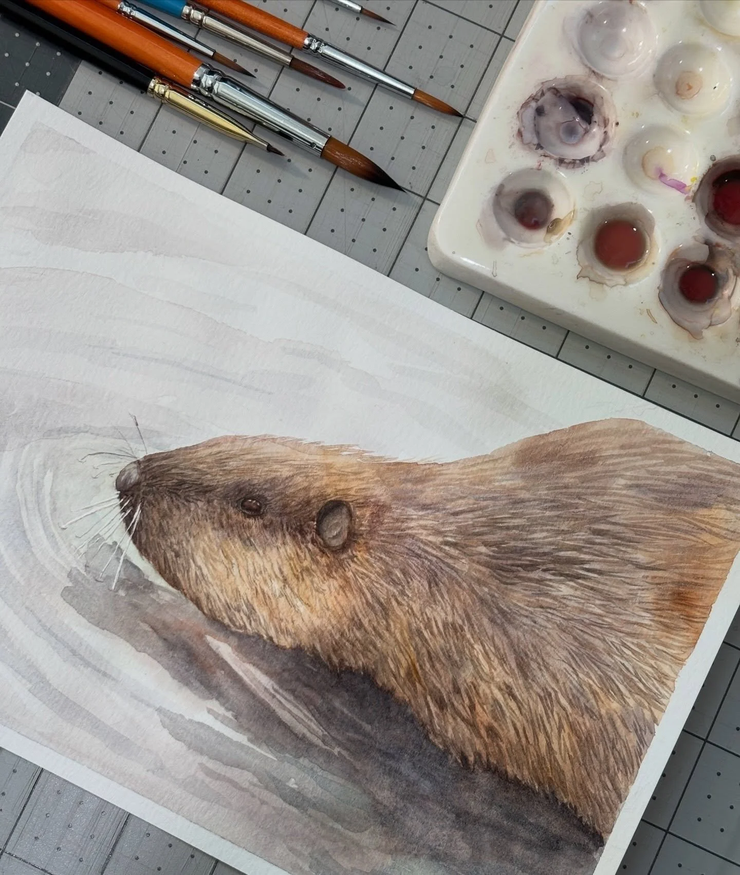 It&rsquo;s International Beaver Day! There is a beaver that lives close to my house. I see signs of it but I have yet to see it in person. Until I see it in person I&rsquo;ll just paint them! 🦫🤎