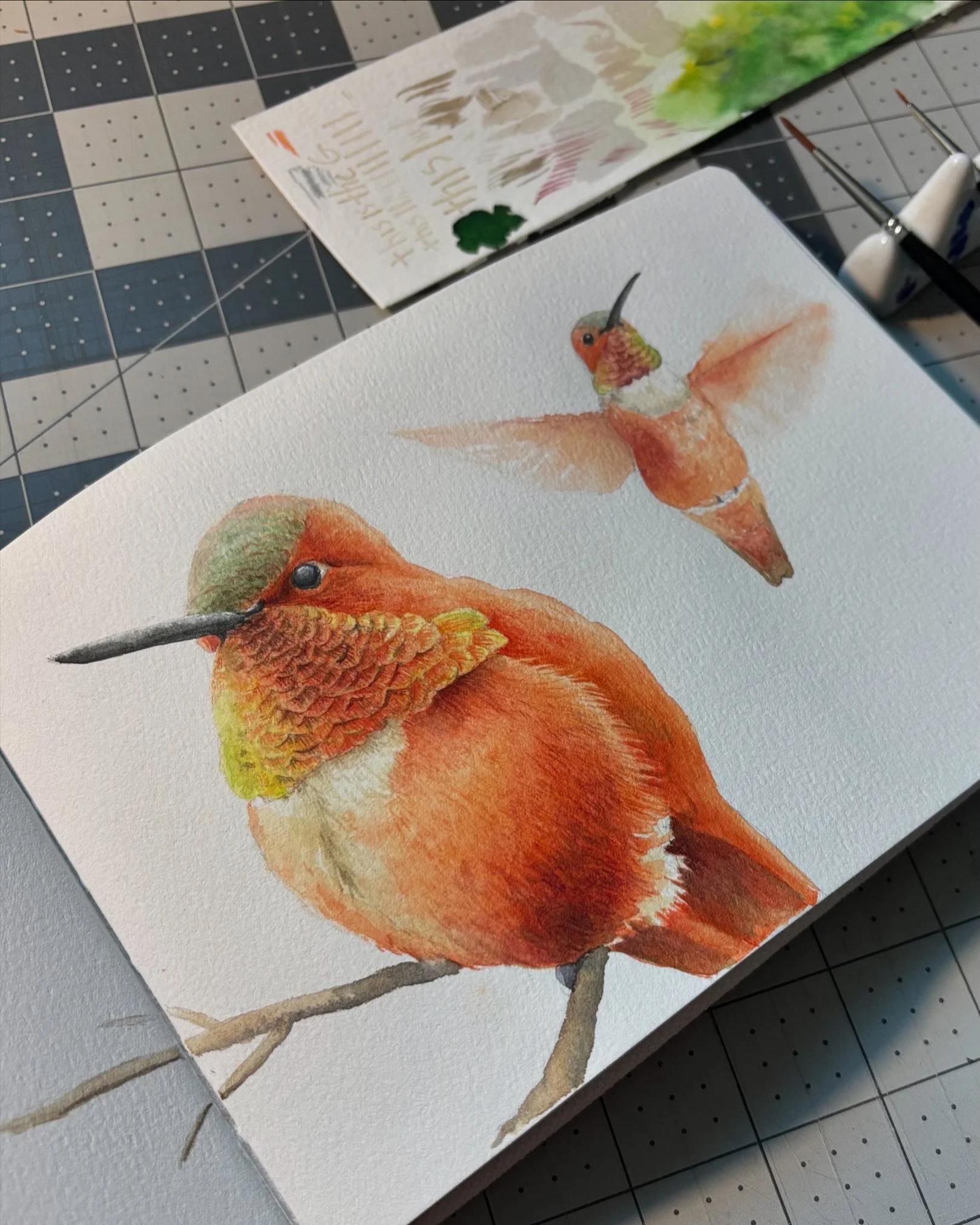 Watercolor painting of an orange hummingbird.
