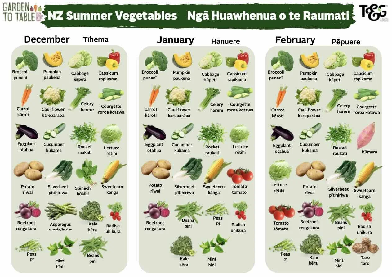 Seasonal Vegetable Posters