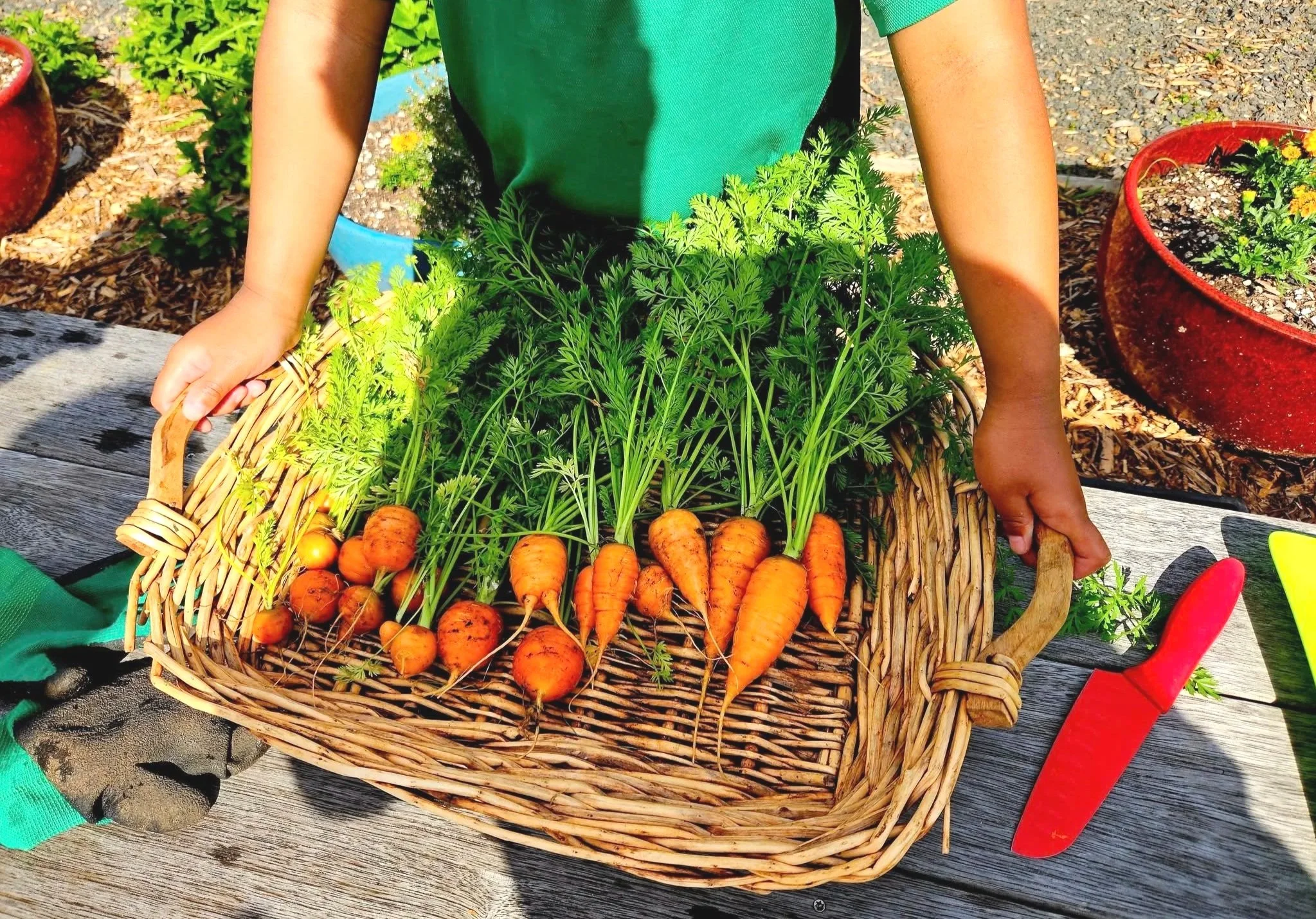 Tamariki Are Change-Makers: Our 2025 Annual Report Is Here 🌱