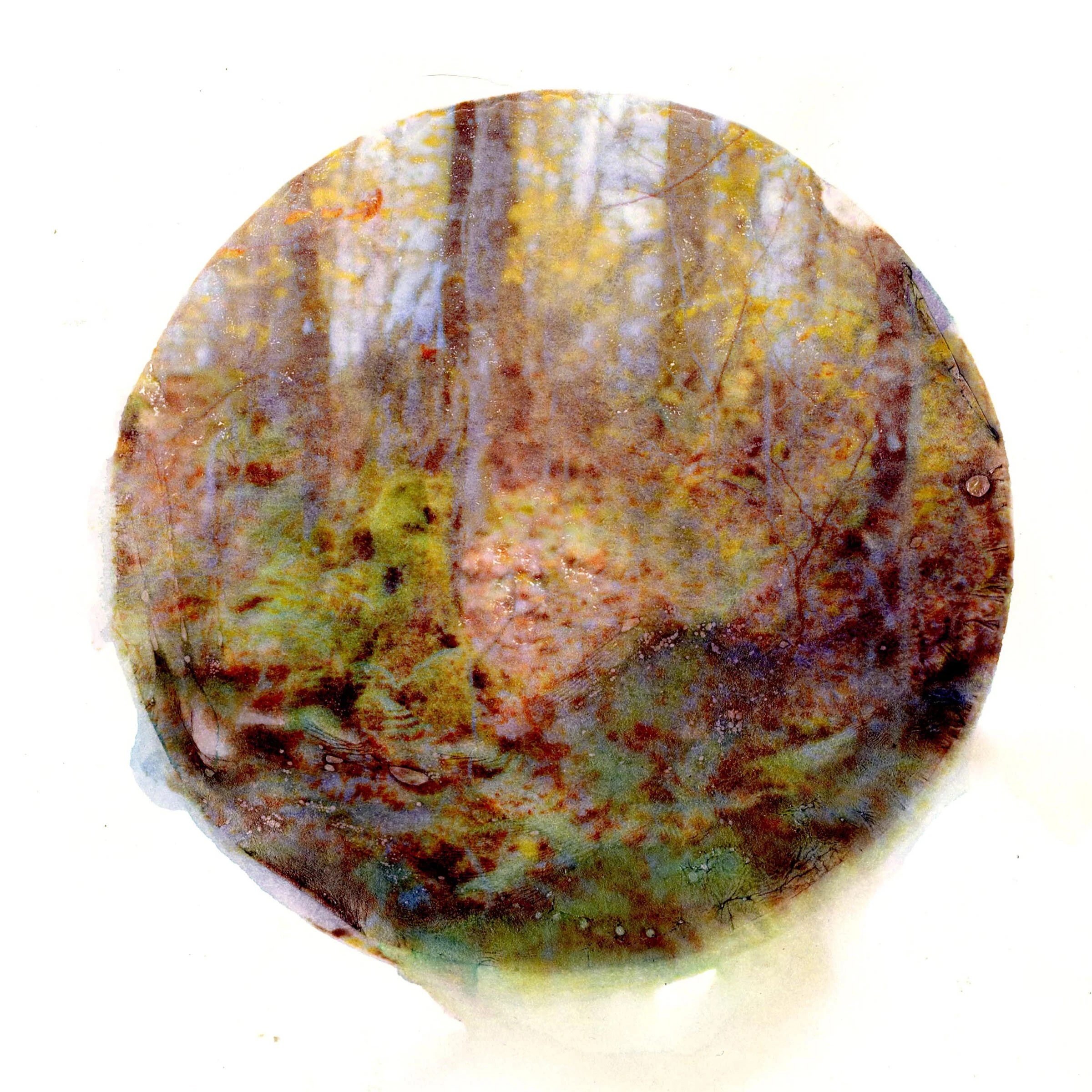 Portal01.jpg