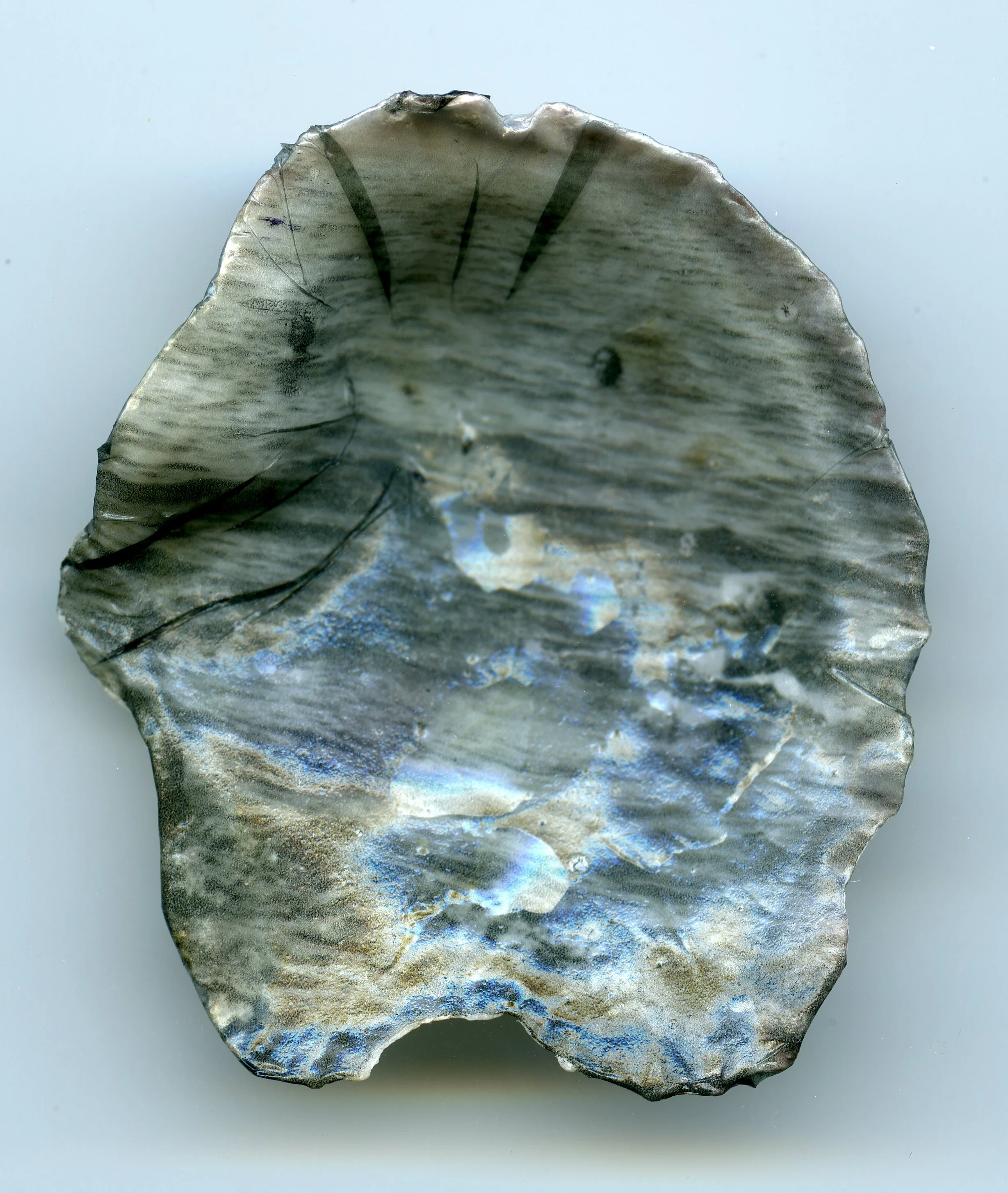 007.jpg