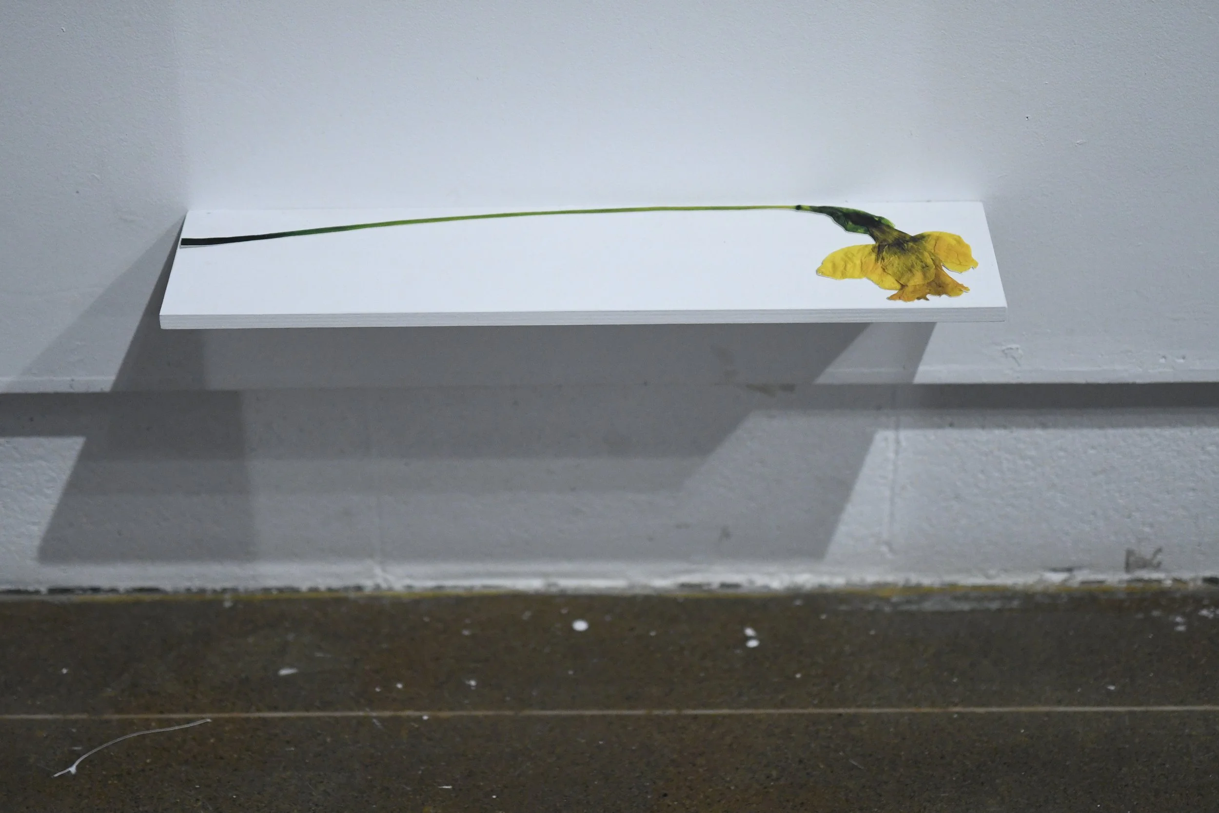 DSC_1209.JPG