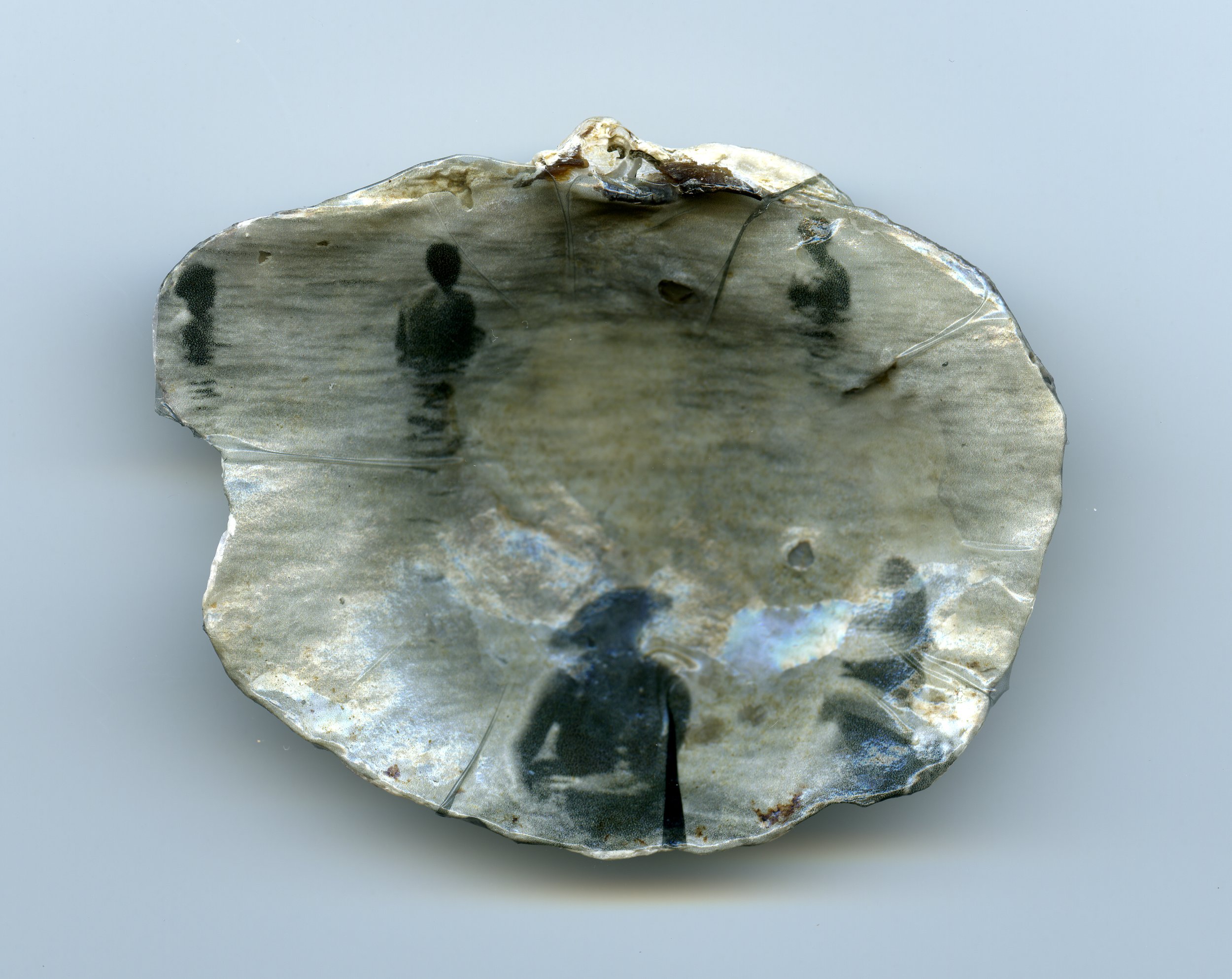Photographic objects (ongoing works)