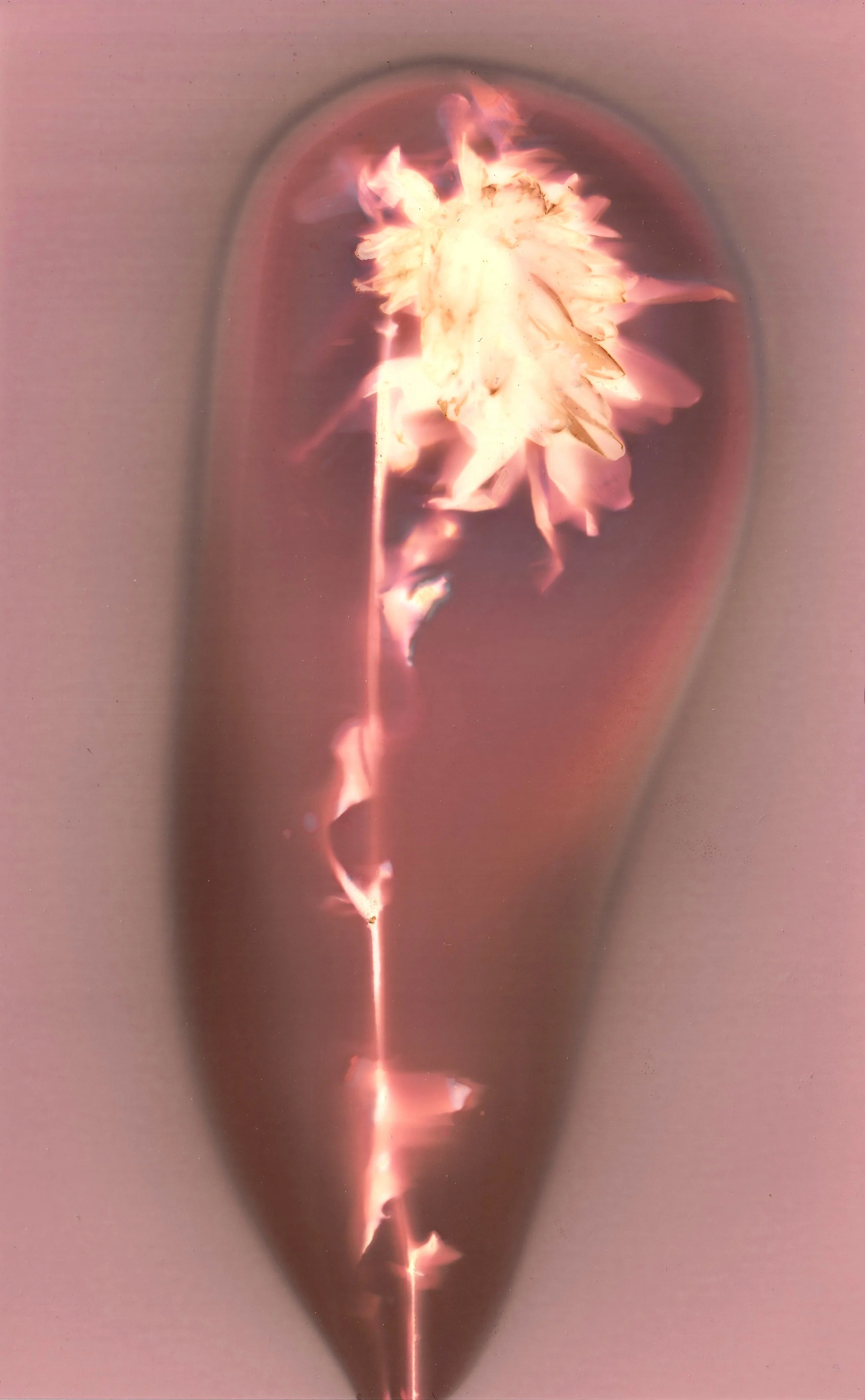 lumen 1.jpg