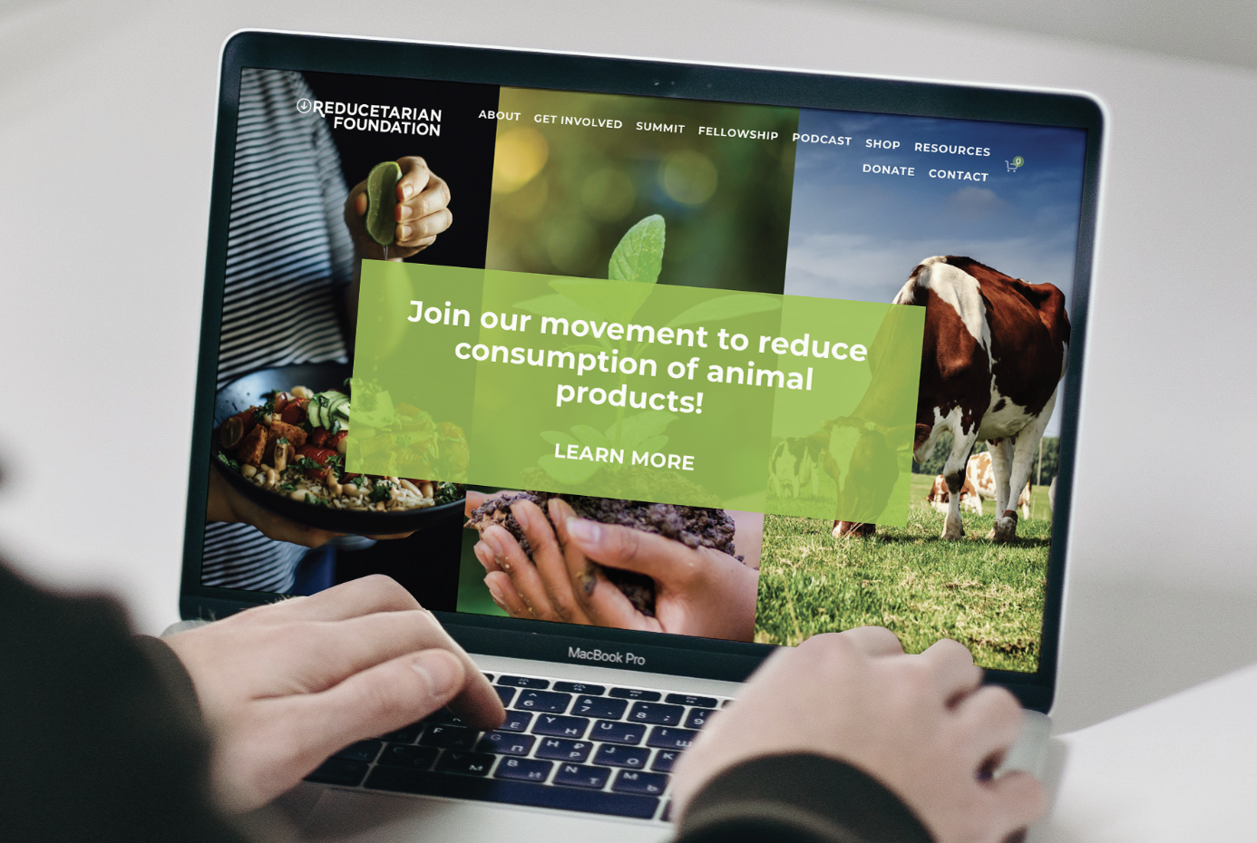 The Reducetarian Foundation