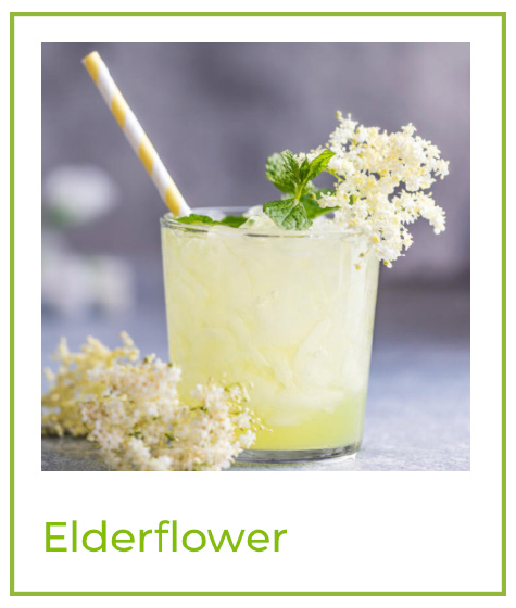 Beck Flavors - Elderflower
