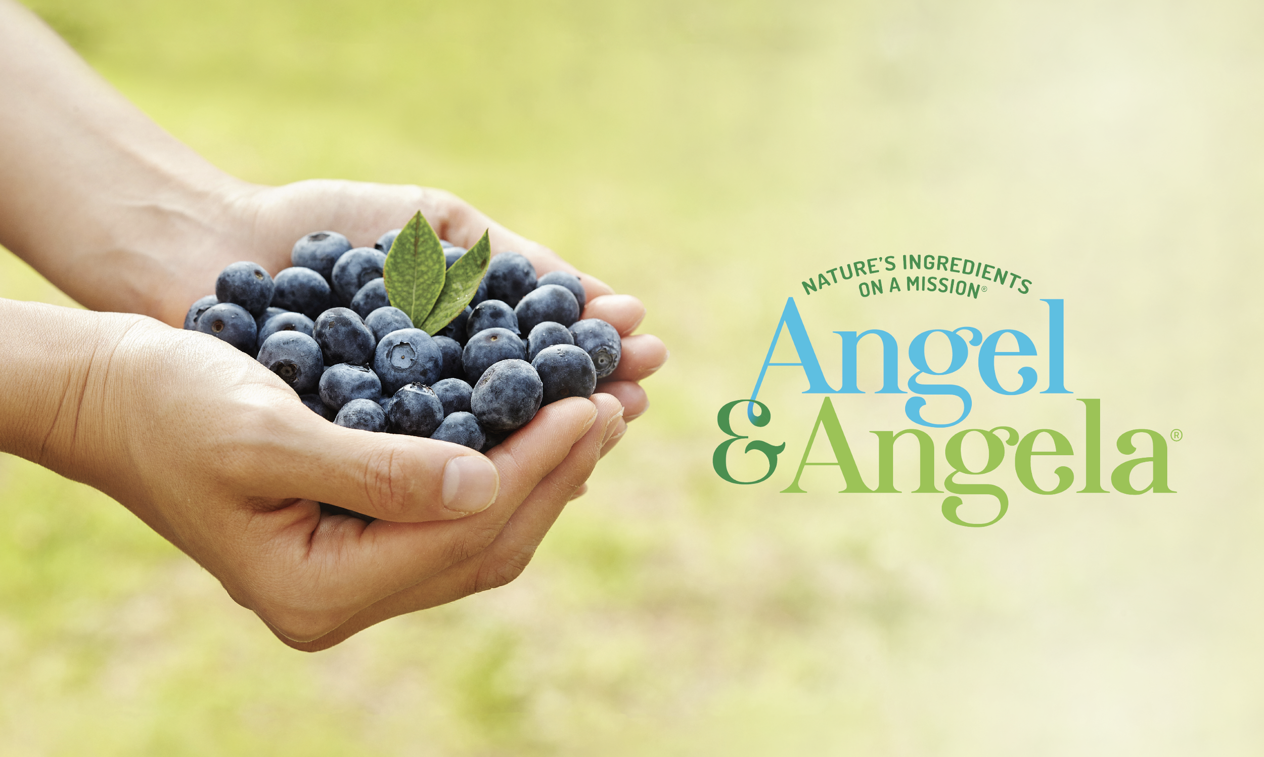 Angel & Angela - Main image