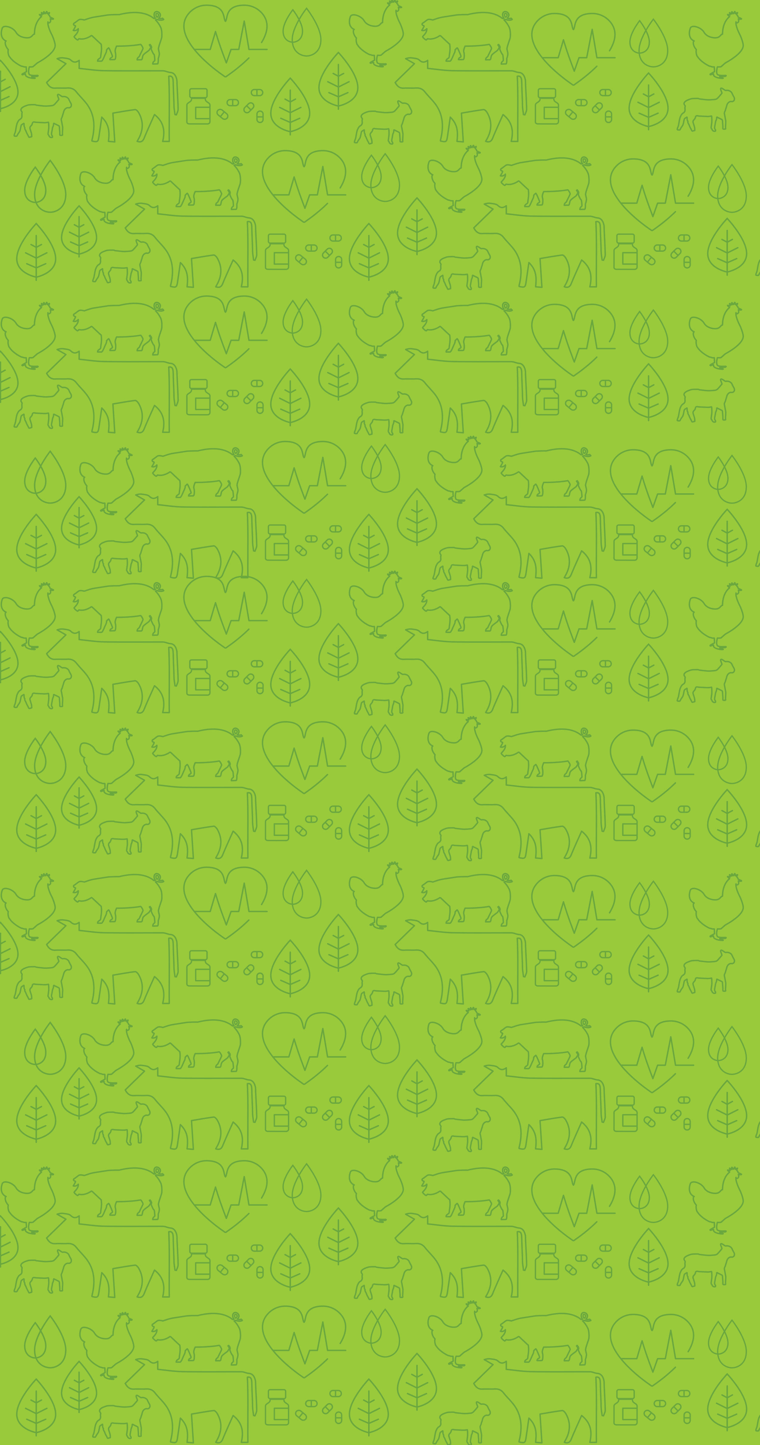 Reducetarian Foundation - Pattern