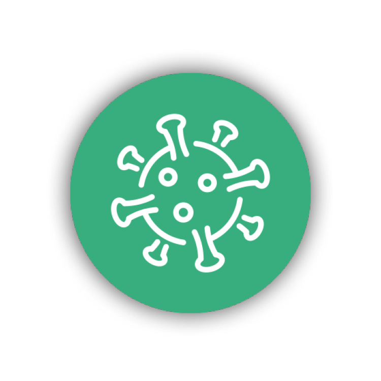 PAN - Icon