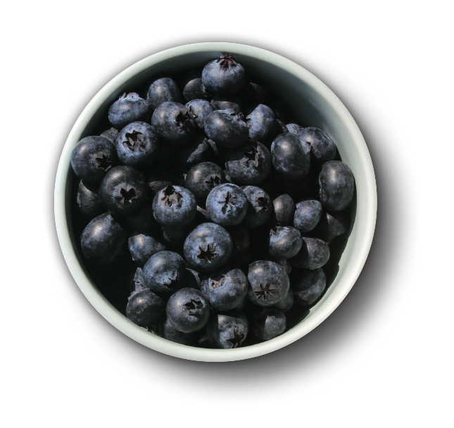 Angel & Angela - Blueberries