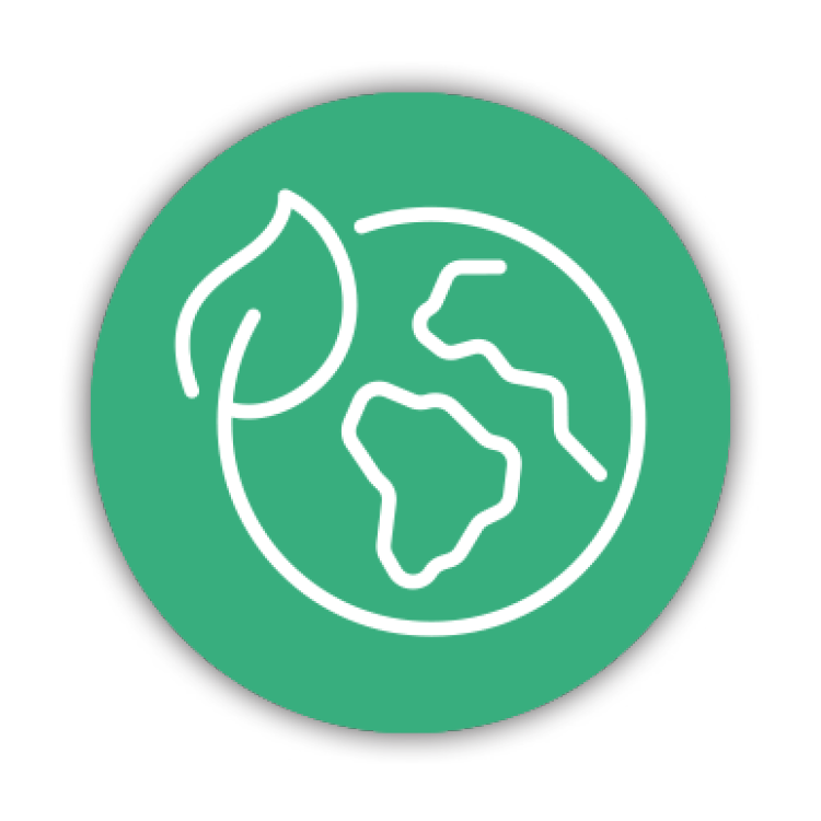 PAN - Icon environment