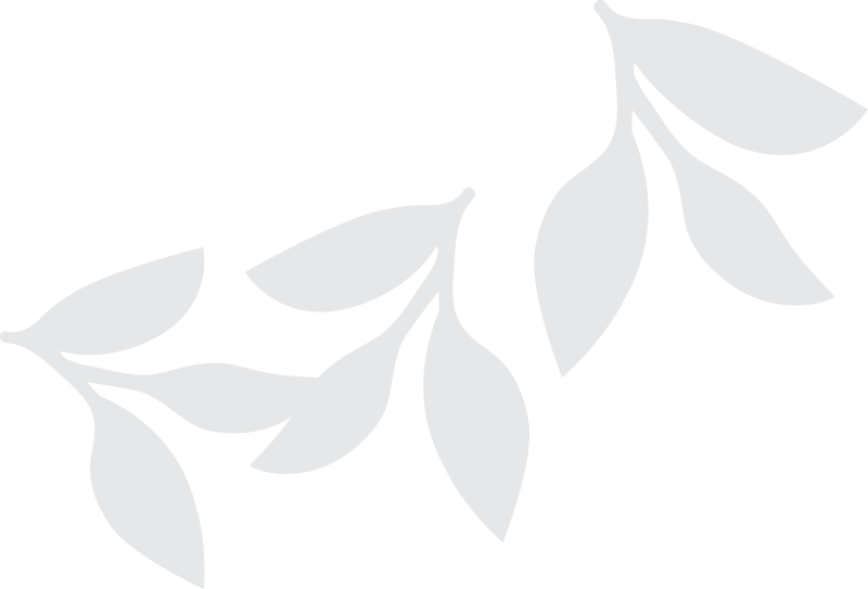 Subtle gray leaf graphic used as a decorative brand accent.