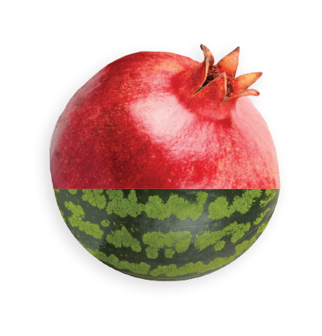 Flavor Producers - Split graphic using pomegranate and watermelon.
