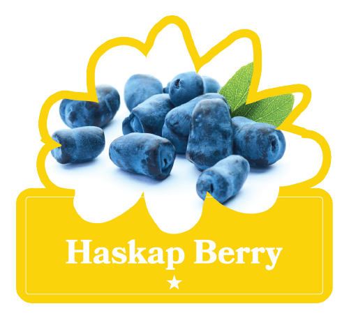 Beck Flavors - Haskap Berry