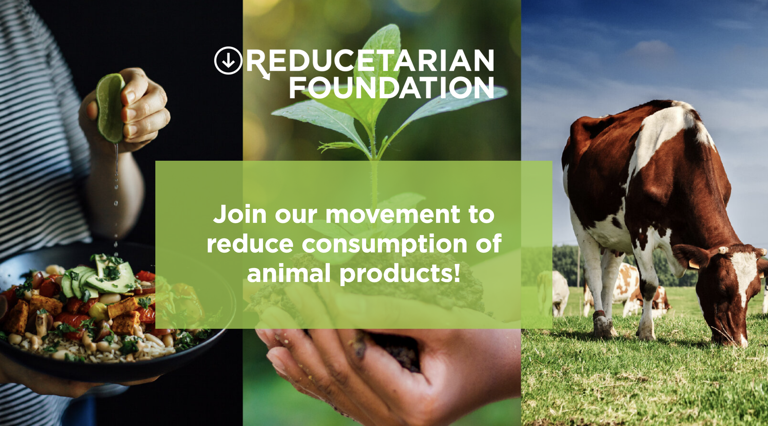 Reducetarian Foundation - Main Image