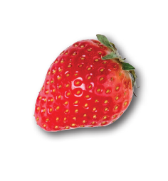 Angel & Angela - Strawberry