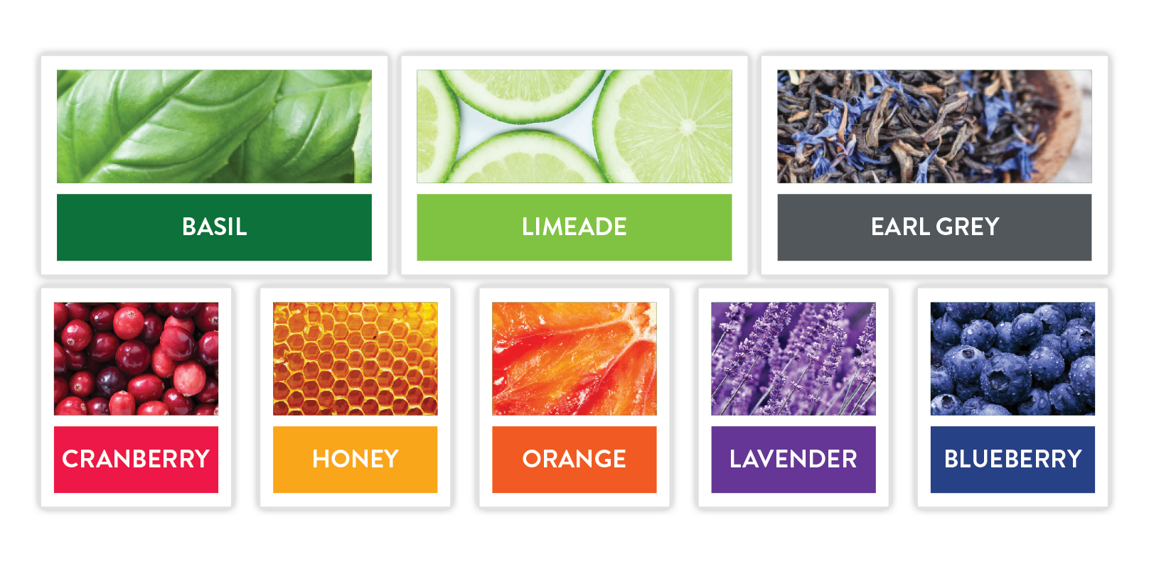 Brand color palette with colors named Basil, Limeade, Lavender, Blueberry, and other flavor-inspired tones.