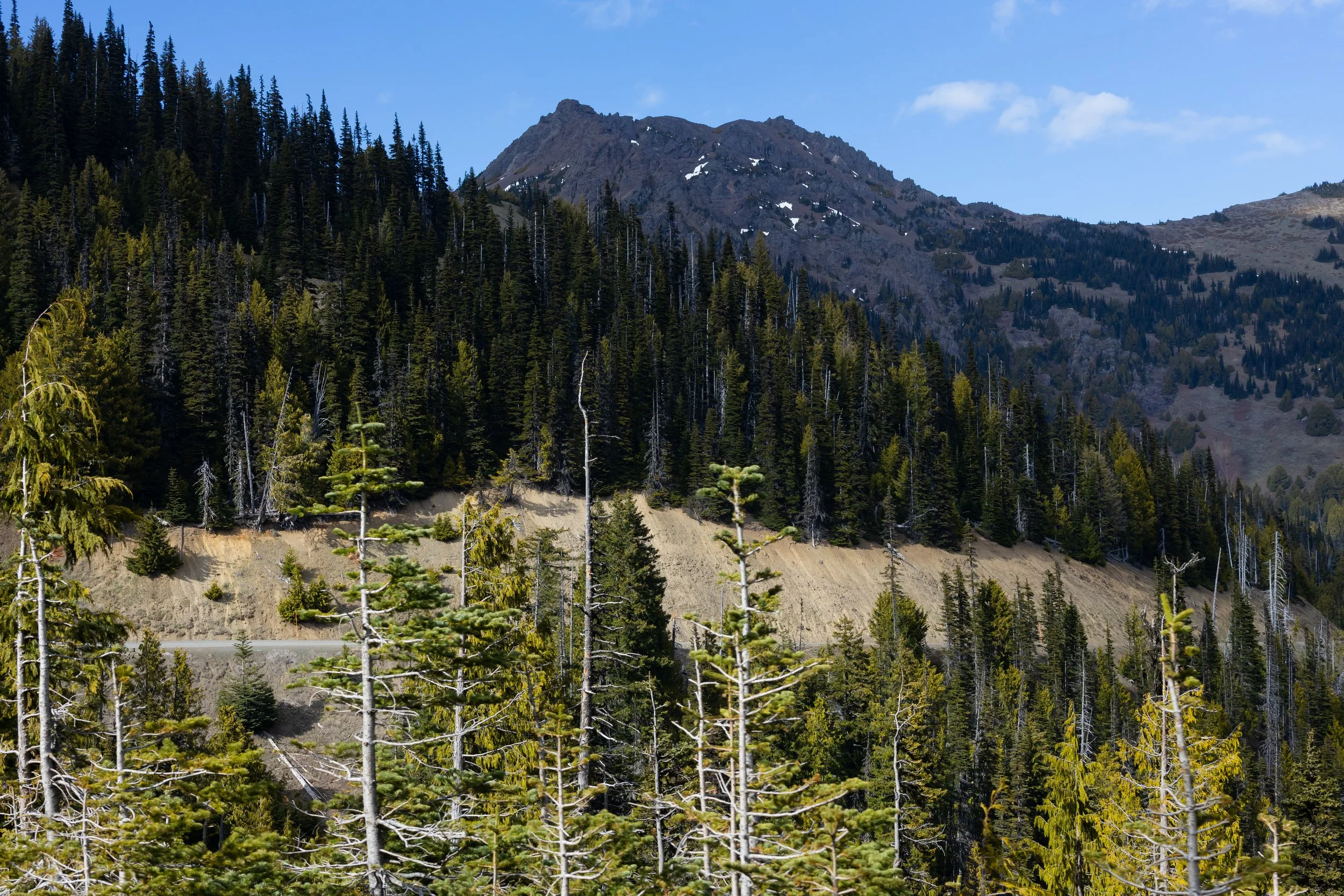 hurricanridge-1.jpg