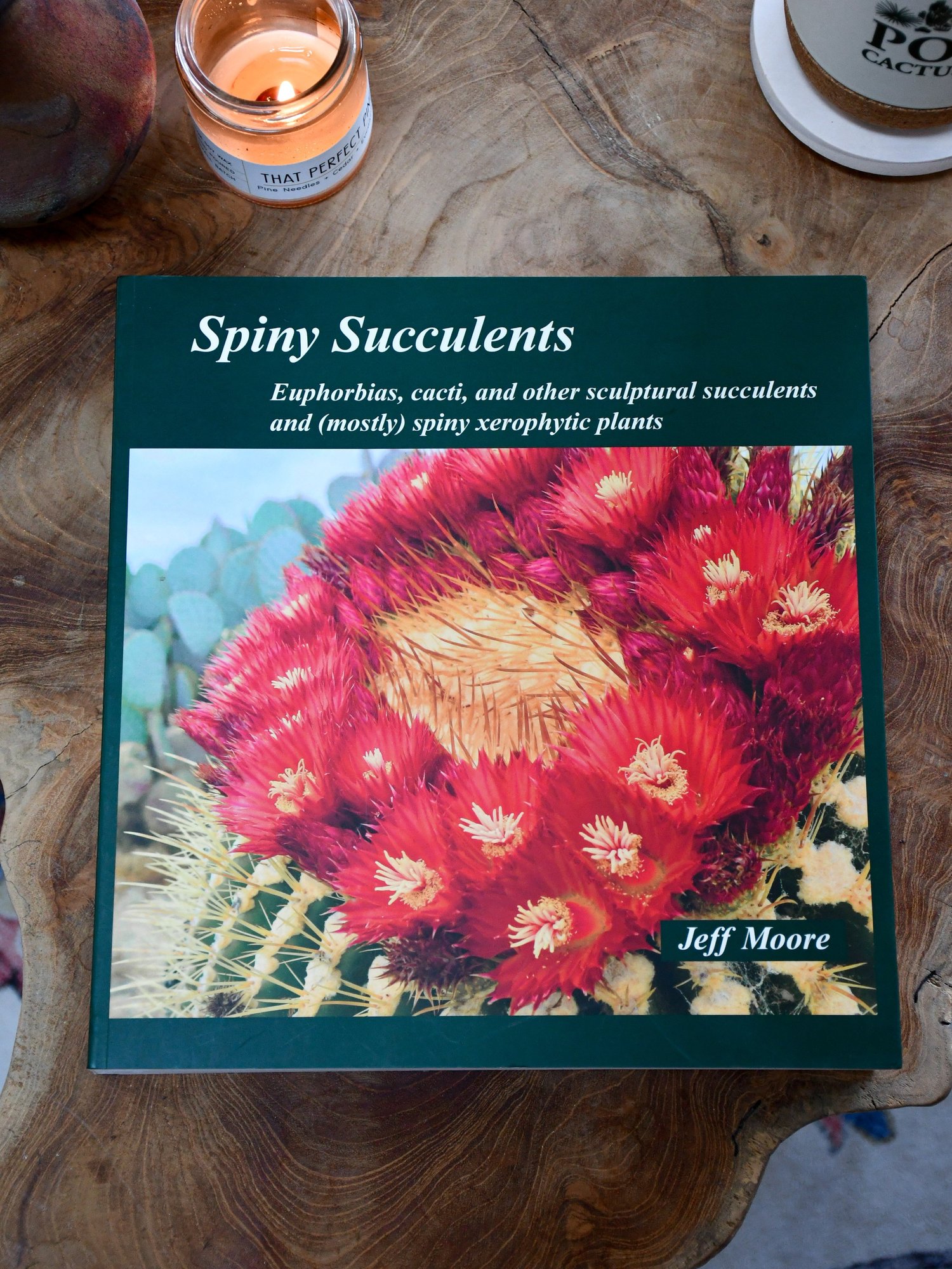 Jeff Moore's Spiny Succulents Book  Poot's Cactus Nursery